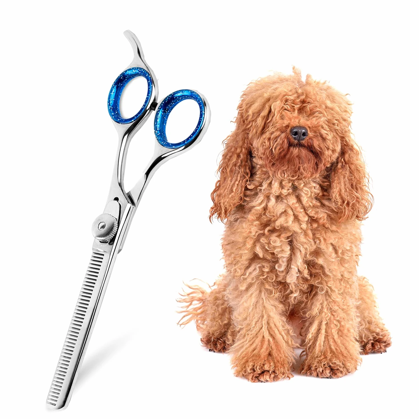 Laazar Pro Shears, Tijeras de Aseo para Mascotas entrelazadas, 16,5 cm, 42 Dientes