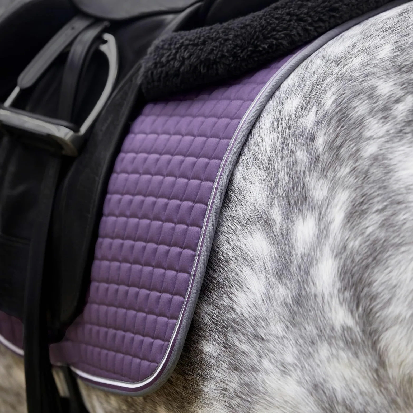 HORZE Mantilla de Uso General Adepto, Morado, P