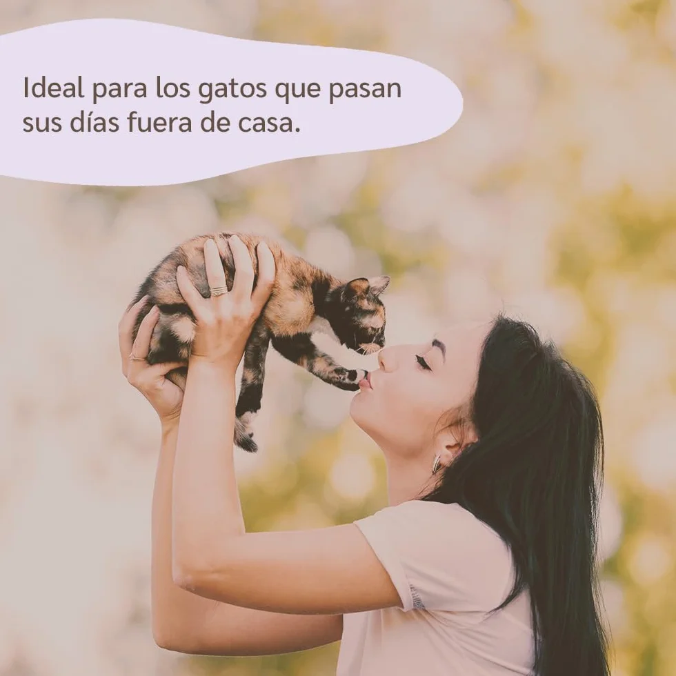 Aceite de Neem Spray para Gatos de Amusi 100 ml Made in Italy 100% Natural y Vegano | Spray Gatos antipulgas - contra Insectos y Pulgas - contra Garrapatas, Mosquitos, Moscas, Ácaros y Piojos