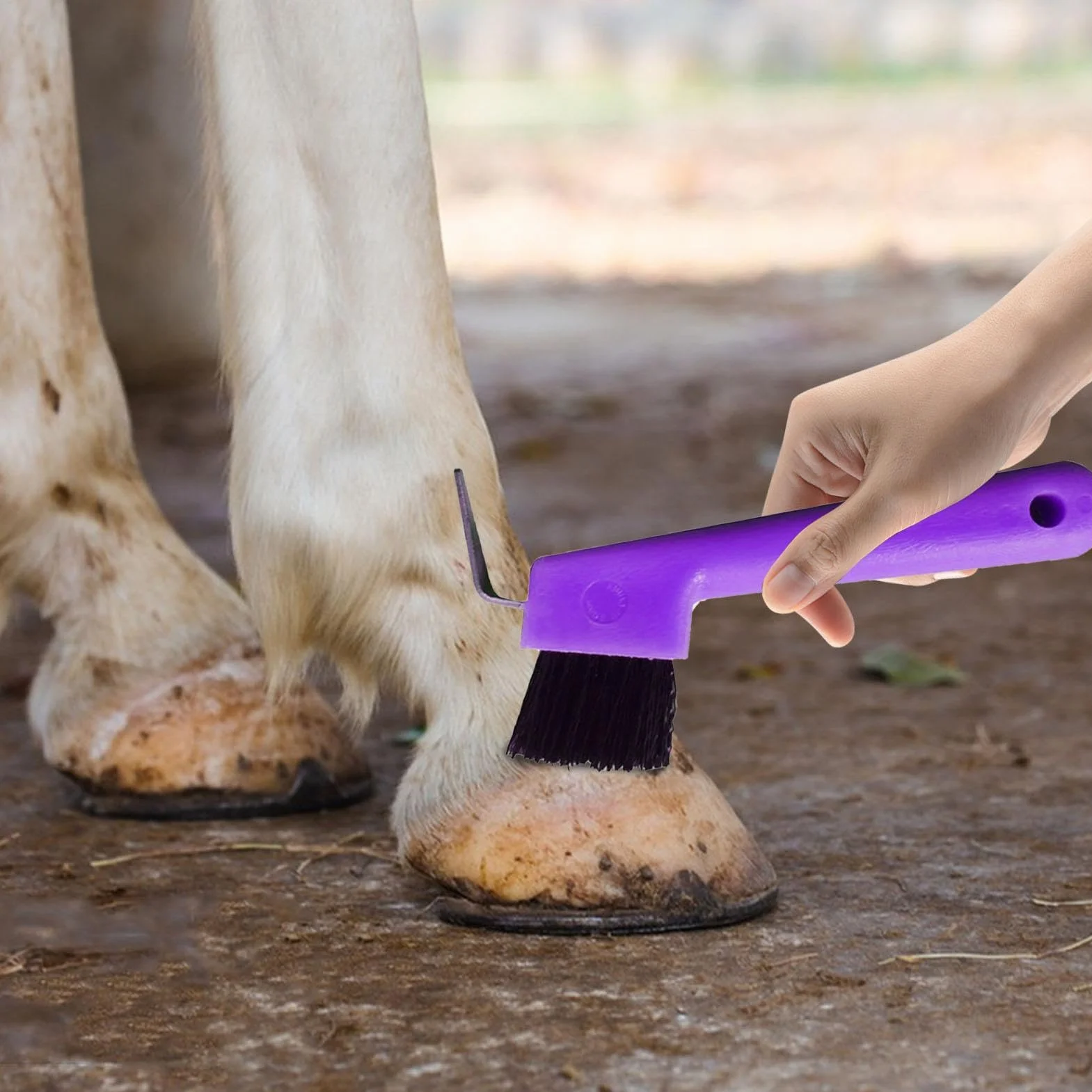 Selección De Pezuñas De Caballo - Cepillos Y Pulidor De Pezuñas De Caballo 2 En 1 | Púa De Pezuña Colorida Con Mango Ergonómico Para Suministros De Limpieza Y Aseo De Caballos Para Niños Y Niñas