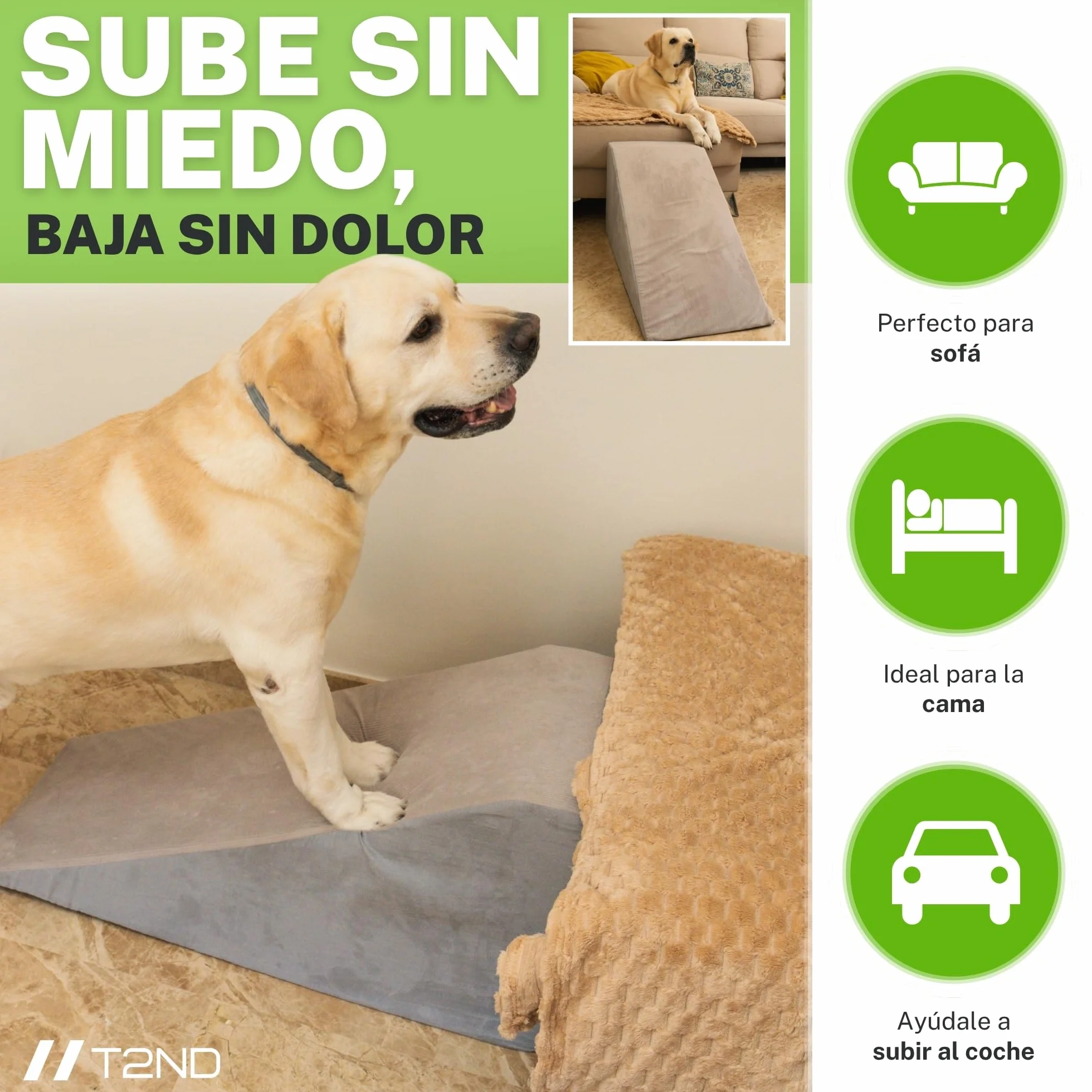 Rampa para Perros Sofá y Cama, Escalera para Perros Pequeños y Grandes, Escalera para Mascotas, Funda Extraíble y Lavable, Base Antideslizante, 40 cm de Alto
