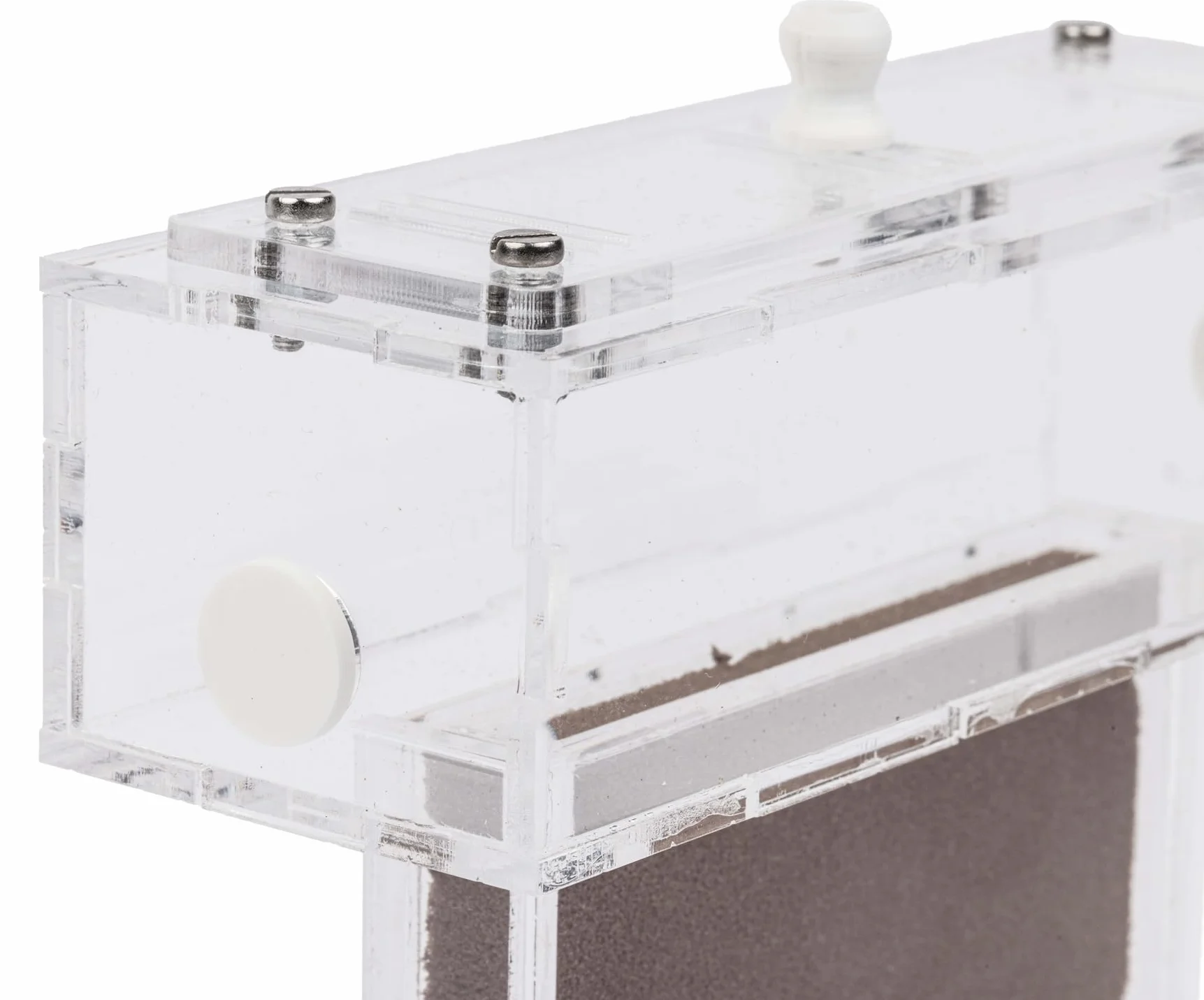 Kit Hormiguero Acrílico de Espuma en Forma de T Mini - Sándwich 14x5x14cm cm y Caja de Forrajeo - Hormiguero con Hormigas Vivas Incluidas (Reina, Obreras, Huevos y Larvas) - Transparente