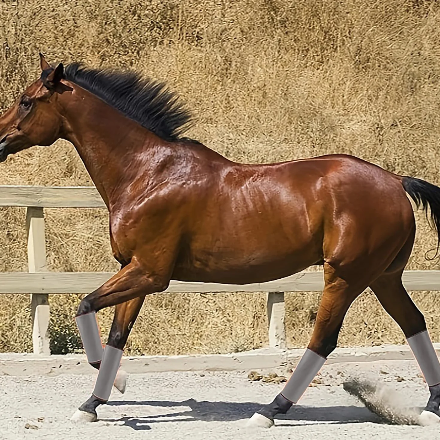 Polainas Antimoscas para Caballos Paquete de 4 Gris Protectores