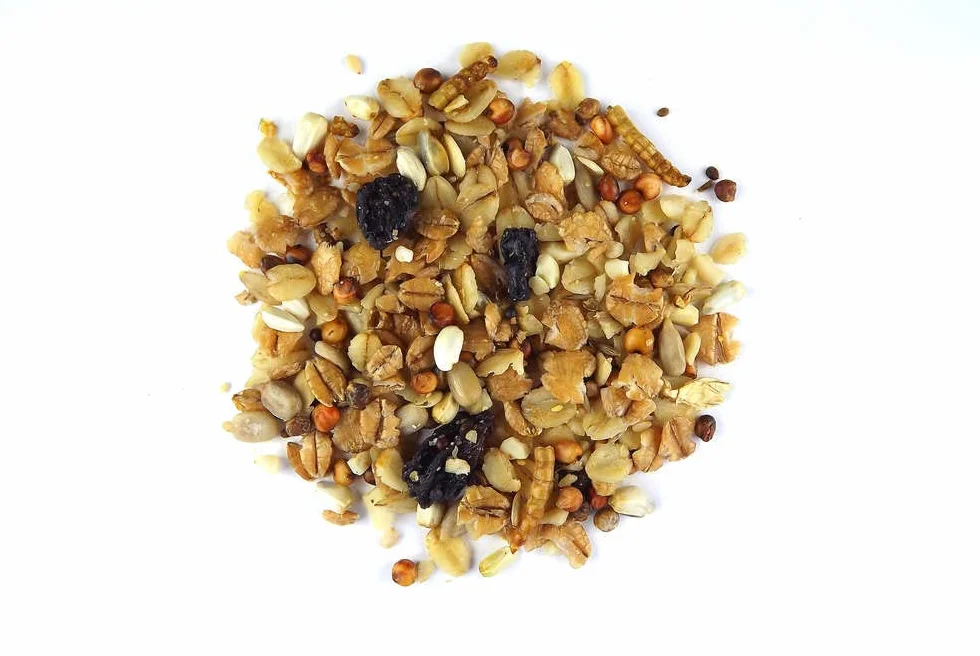 Claus Pienso para gorriones, mezcla especial para alimentación todo el año, paquete doble, 2 x 700 g