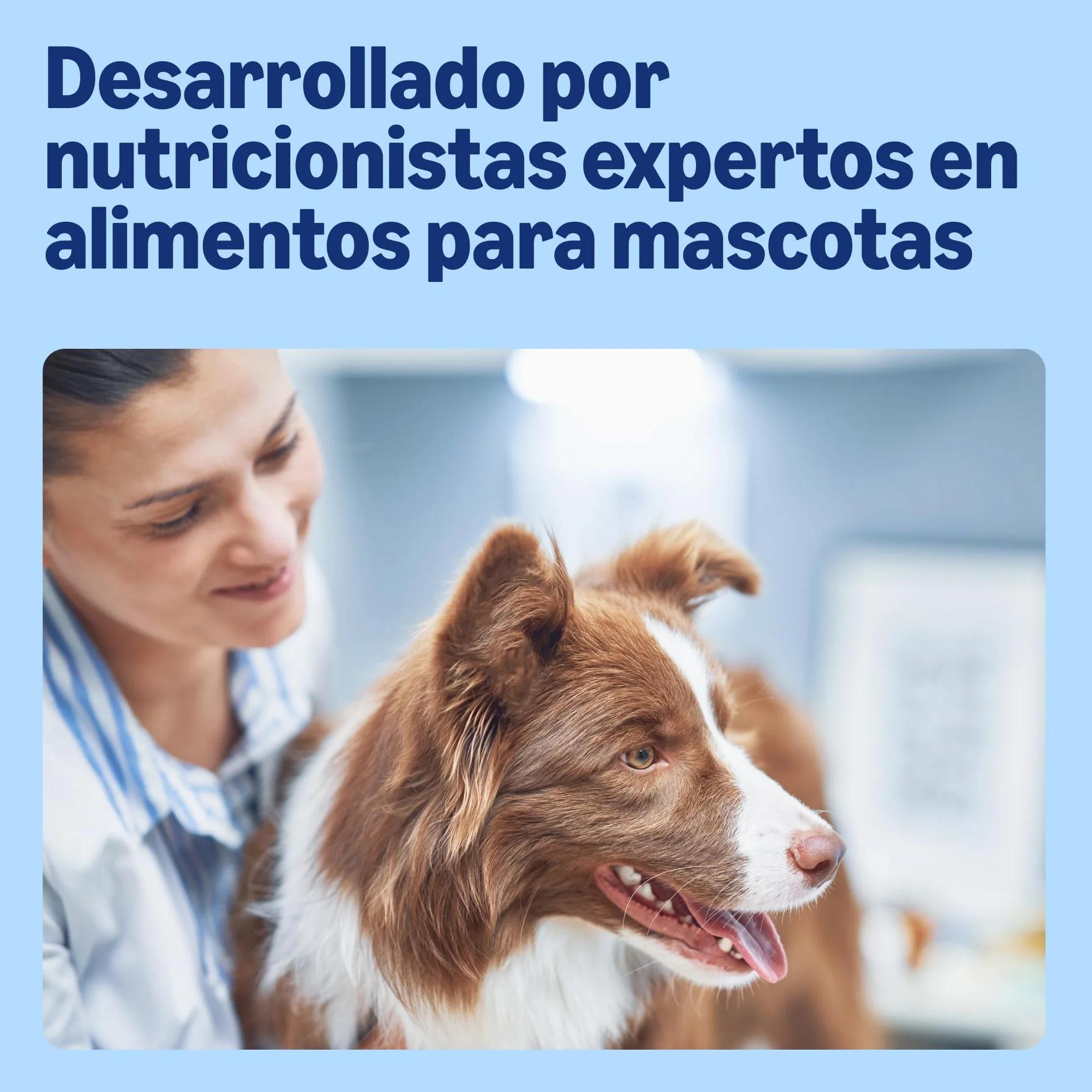 by Amazon Alimento Completo para Perros Adultos - Selección de Carne en Salsa, 4,8kg (48 Paquetes de 100g)