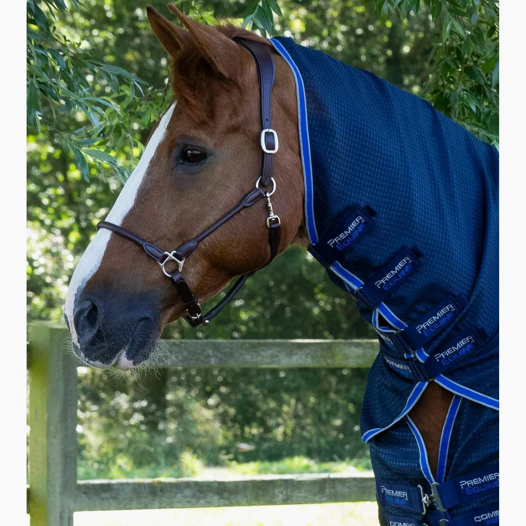 Premier Equine Manta de Secado para Caballos con cubrecuellos