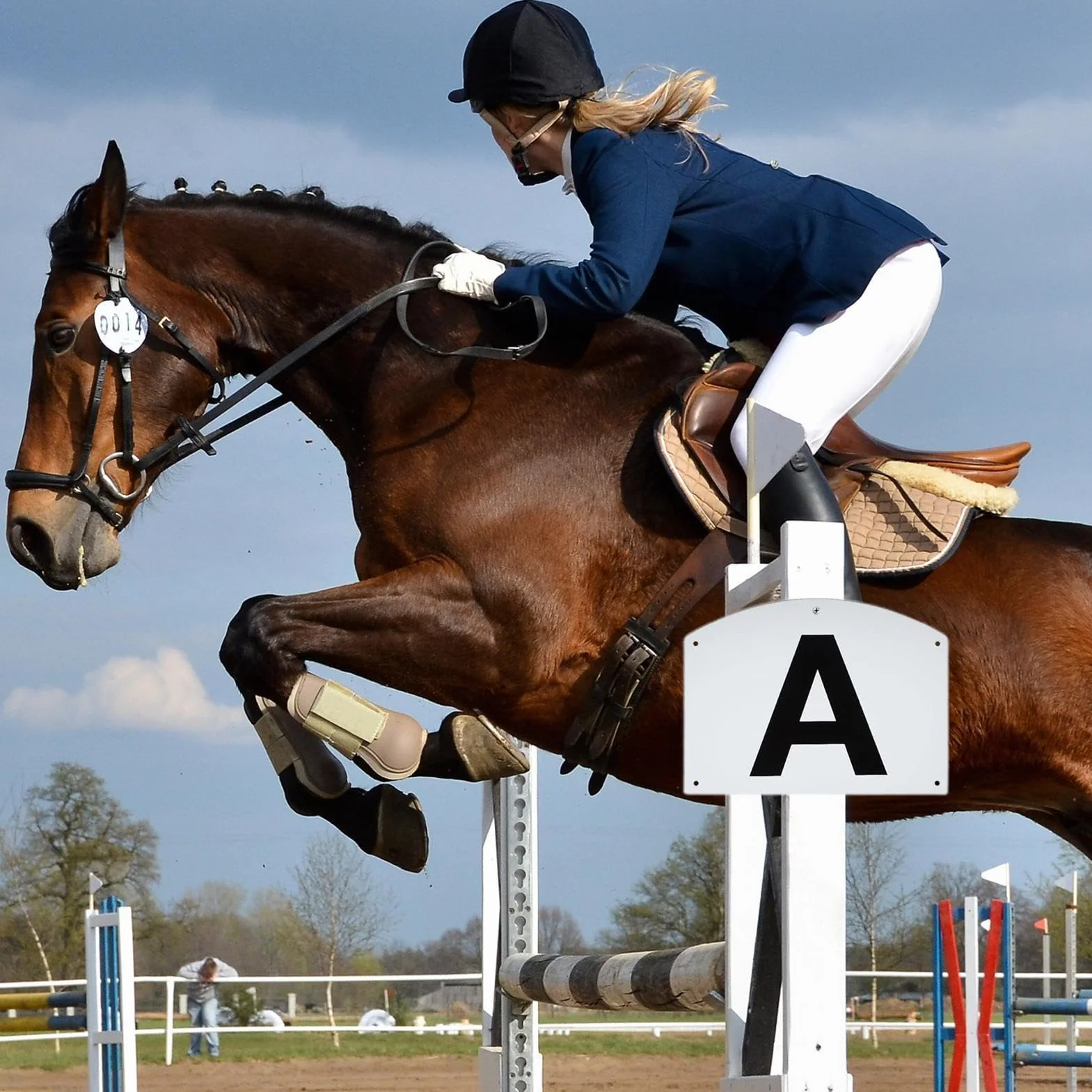 Genérico Marcadores Letras Clásica | 8 Paneles Entrenamiento Caballo Montaje Valla, 20x27cm | Letras Pista PP para Práctica Equitación | Placas Identificación Obstáculos para Jinetes