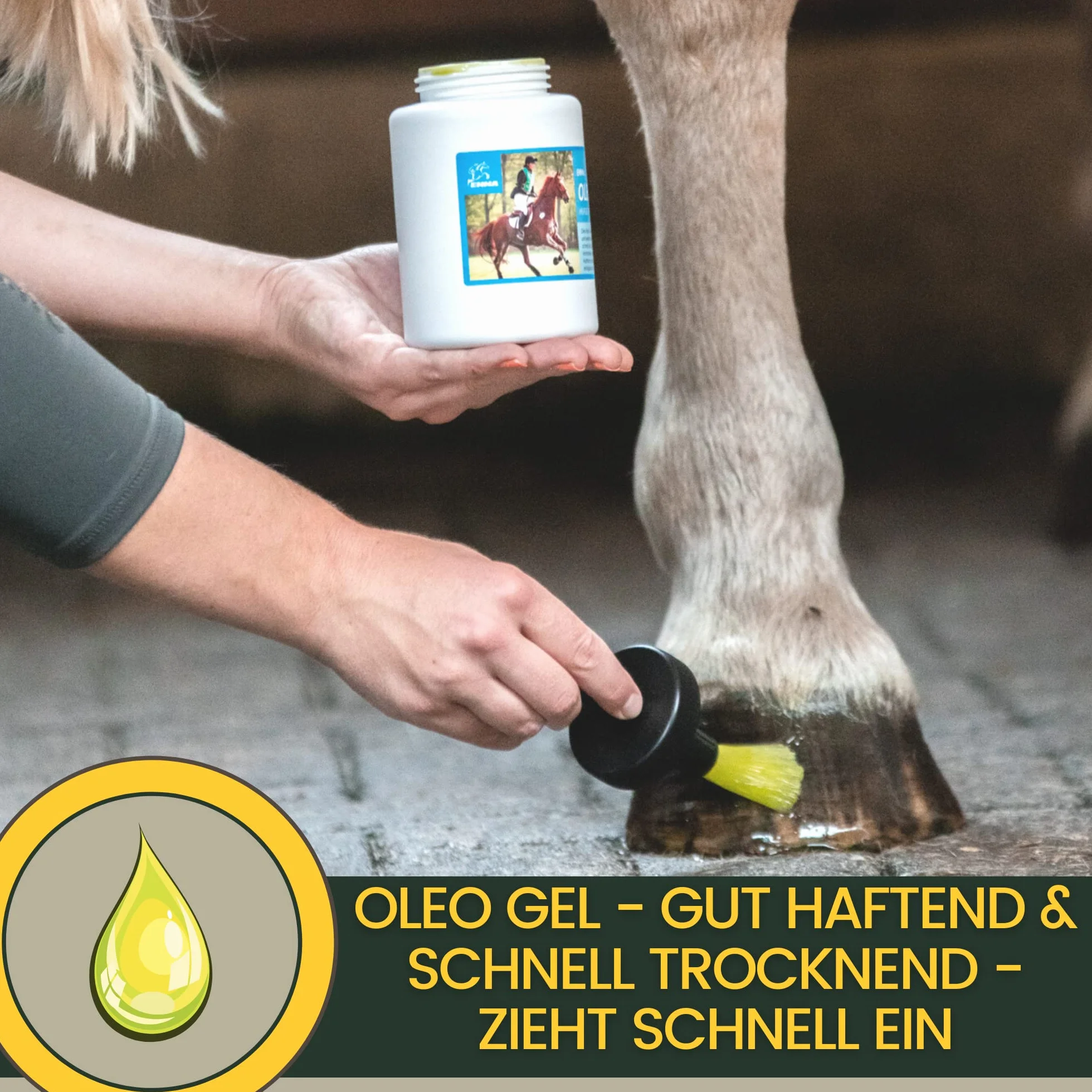 Aceite para cascos Caballos Bote 2,5L Bálsamo para cascos - Grasa para cascos I Cuidado de cascos y rana Contra la sequedad de cascos I Endurecedor de cascos I Aplicar aceite para cascos con cepillo