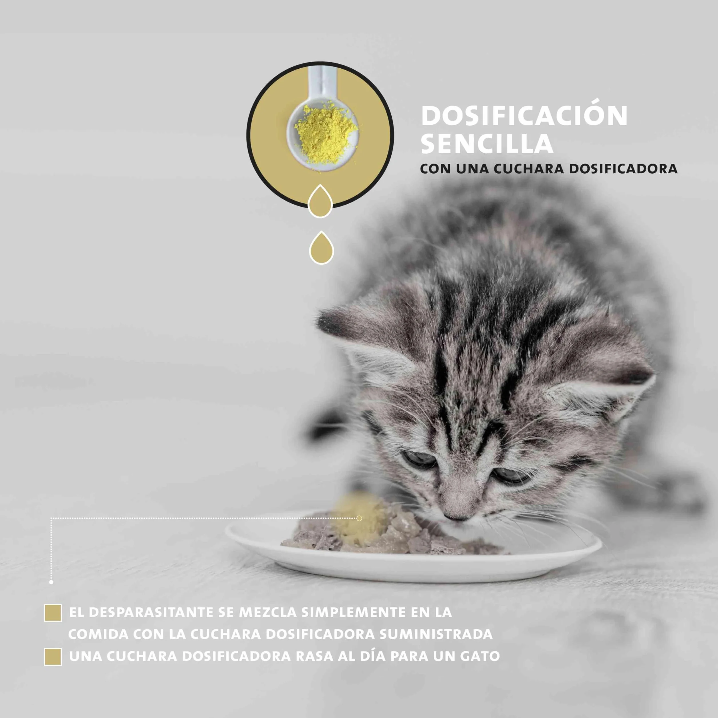Peticare Desparasitante Antiparasitario para Gatos | Polvo de Hierbas | Remedio 100% Natural con Curcuma y Tomillo contra Gusanos Intestinales, Anquilostomas, Higiene Intestinal | petCat Health 3605
