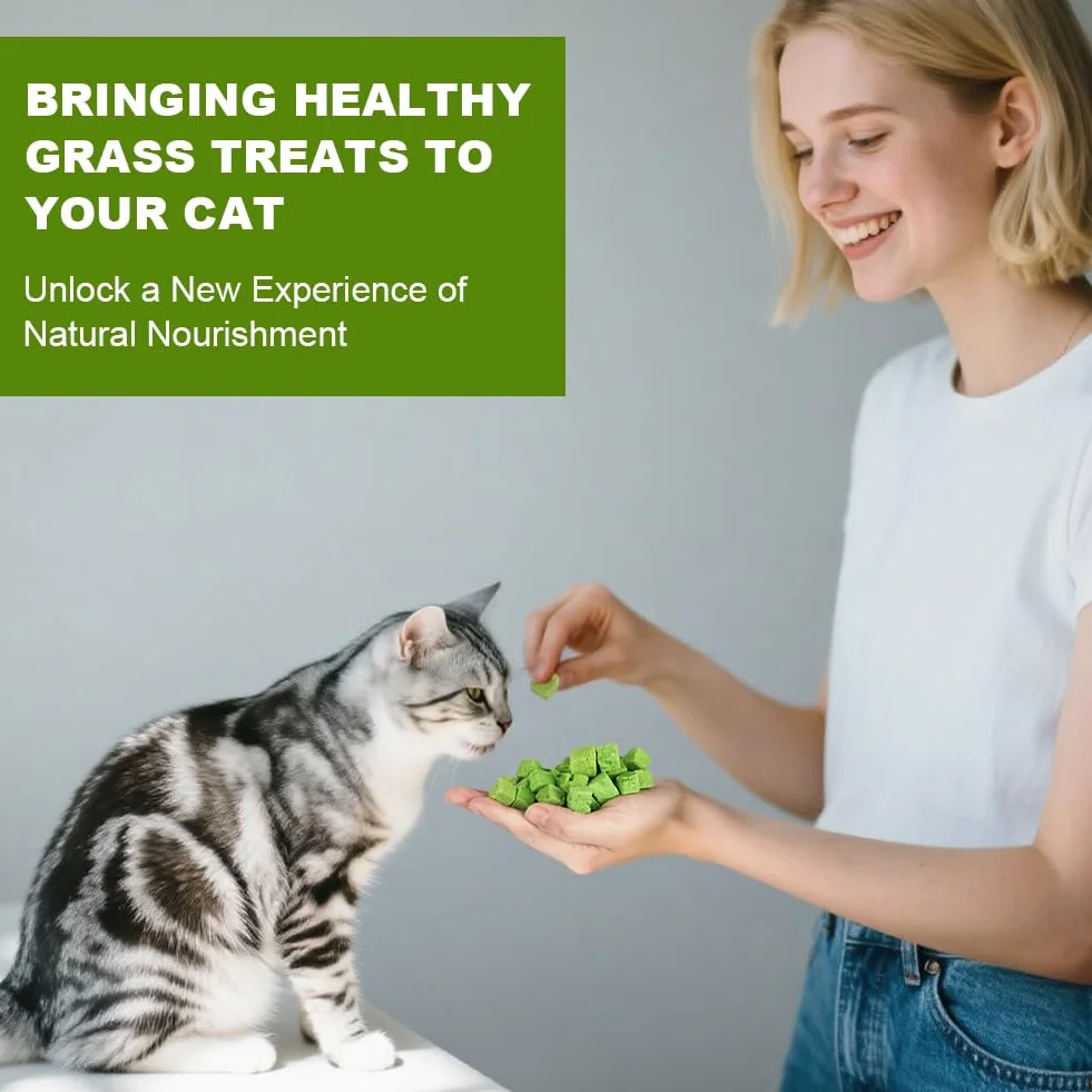 OSDUE Golosina de Hierba Gatera para Gatos, 100g Snack Liofilizado con Hierba Gatera para Limpiar los Dientes, Palillo Masticable para Gatos Favorecer Digestión y Absorción, Cat Grass Teething Stick