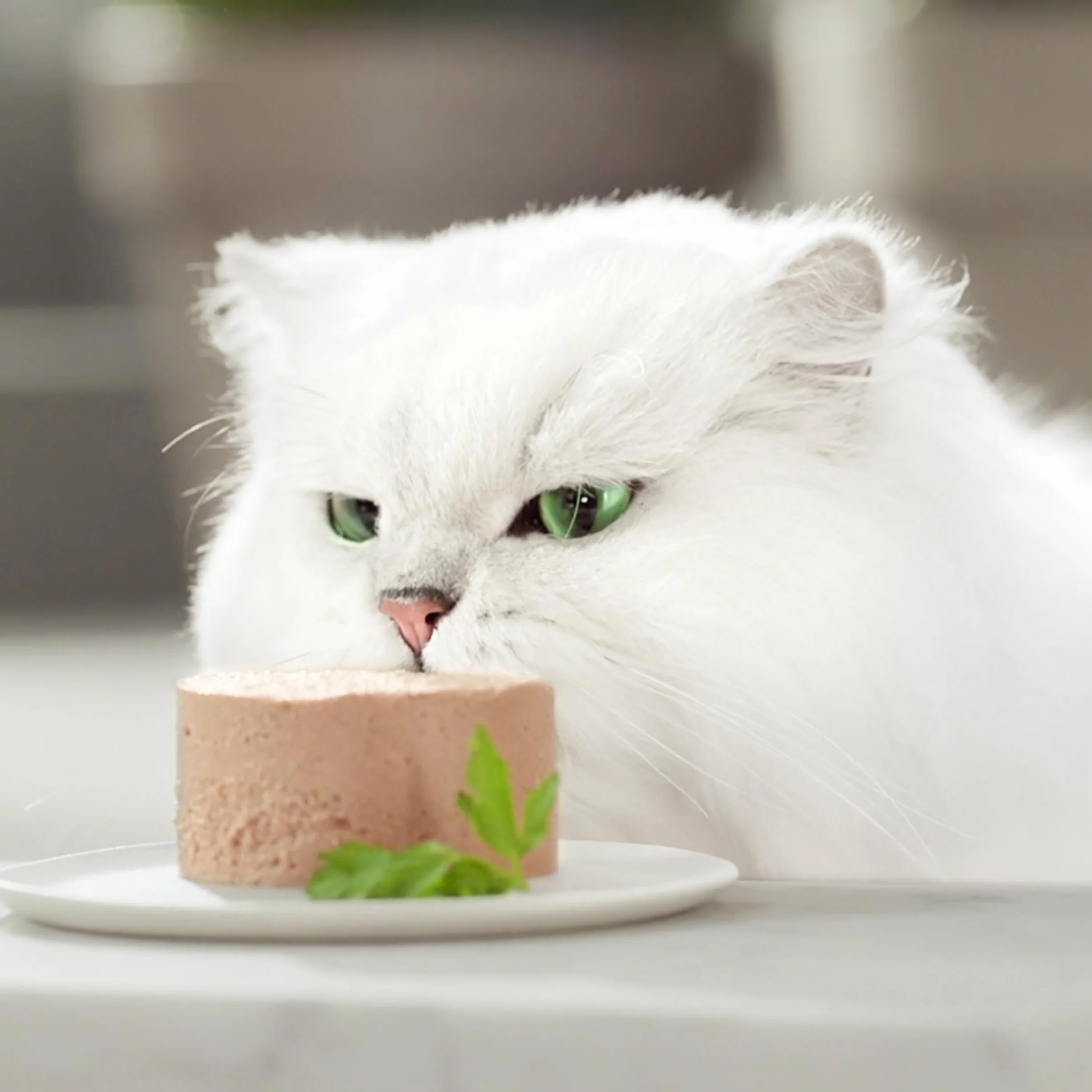 GOURMET Gold Mousse, Comida Húmeda para Gato Adulto, Surtido de Buey, Conejo, Cordero y Ternera, 96 latas