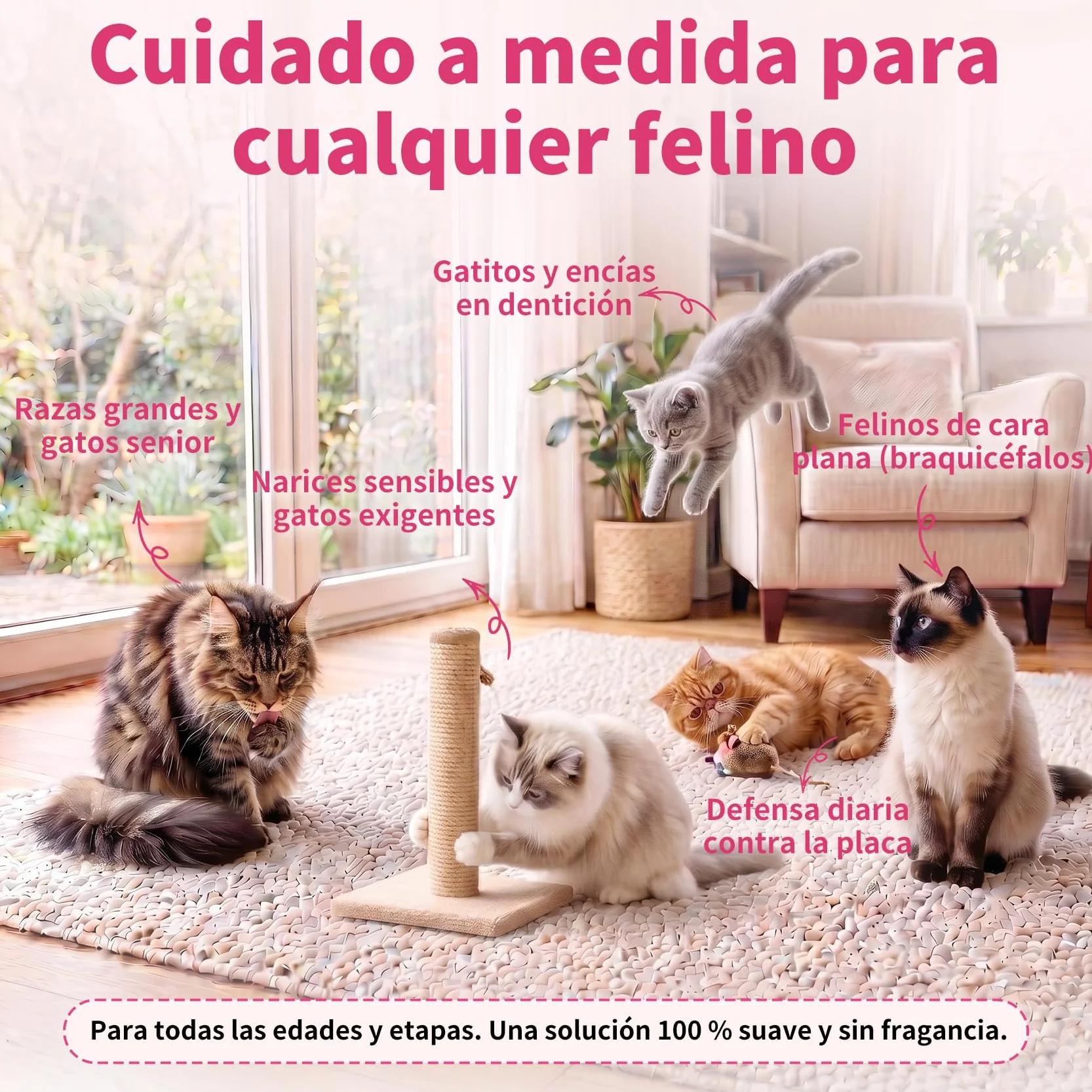 Pasta de Dientes Enzimática para Gatos - Kit Dental con Cepillo, Gel Sin Perfume contra la Placa y Mal Aliento, Previene el Sarro - 30g