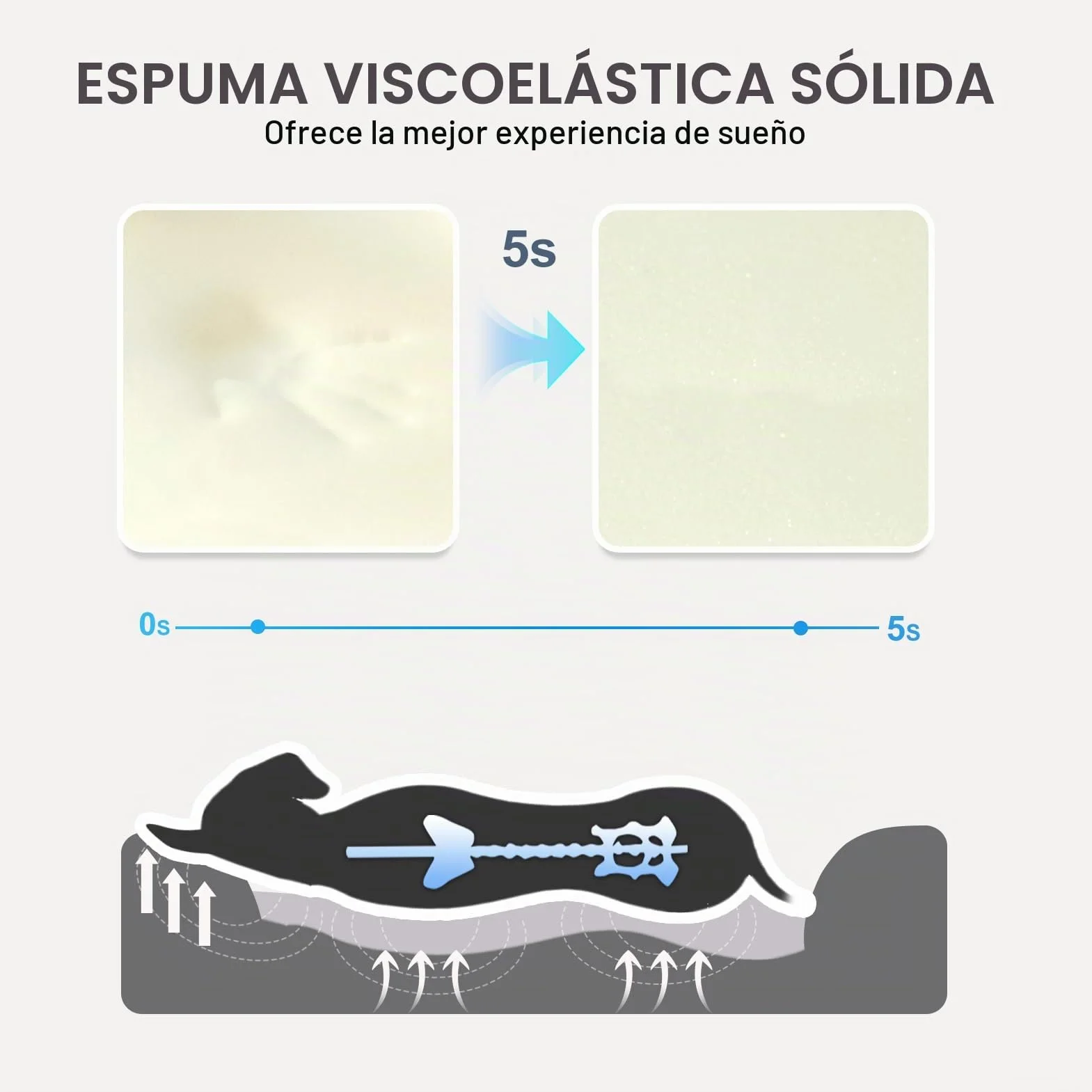 JOYELF Cama para Perro de Espuma viscoelástica Cama y sofá ortopédico pequeño para Perro con Funda Lavable extraíble y Juguetes chirriadores como Regalo