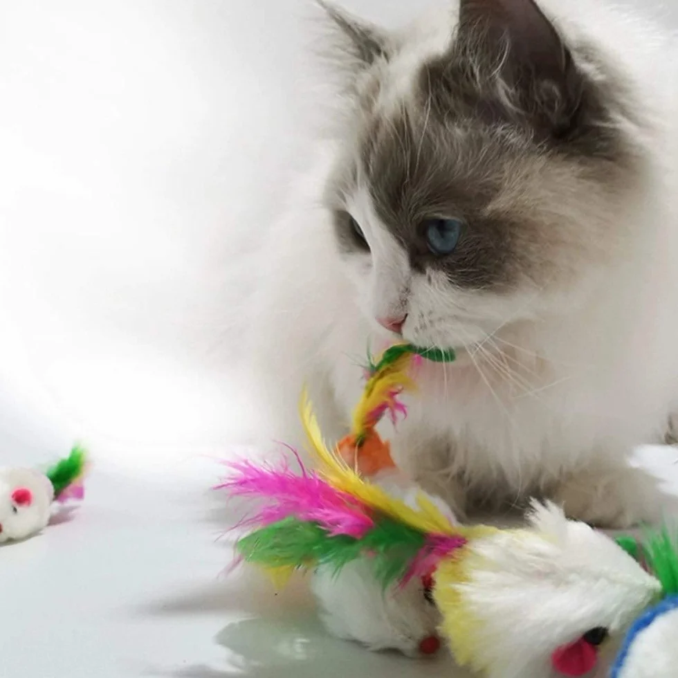 VOVIGGOL 12 Piezas Peludo Juguetes Gato Ratones para Gatos, Interactivo Gatito Juguetes Ratón Sonajero Plumas para Gatos Mascota (Colores Variados)