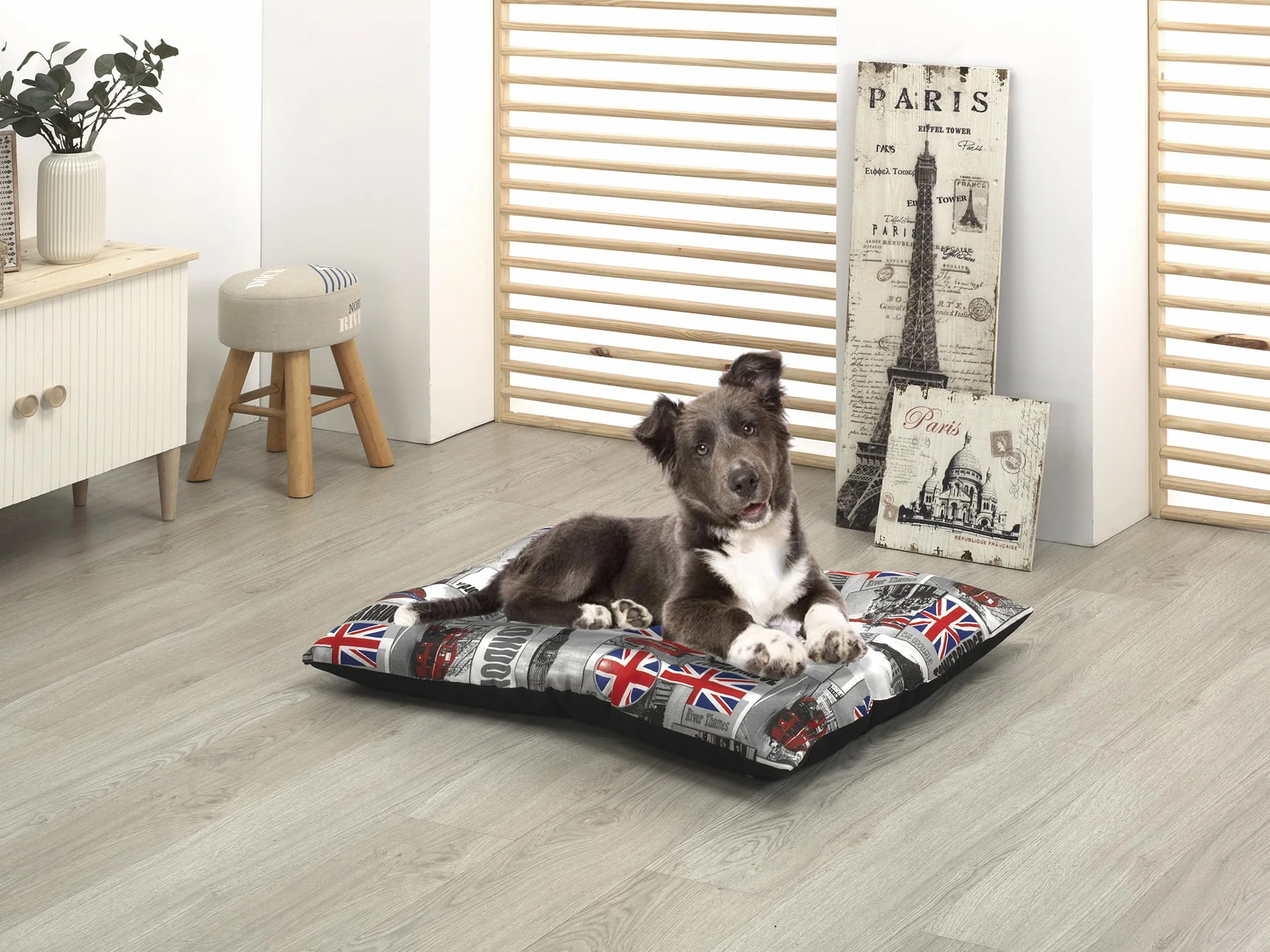 Colchoneta para Perros: Cama Perros Suave y Cómoda, Lavable, Ideal para Descanso y Sueño - Cuna Perro Hecha en España (Gris, 50x50x10)