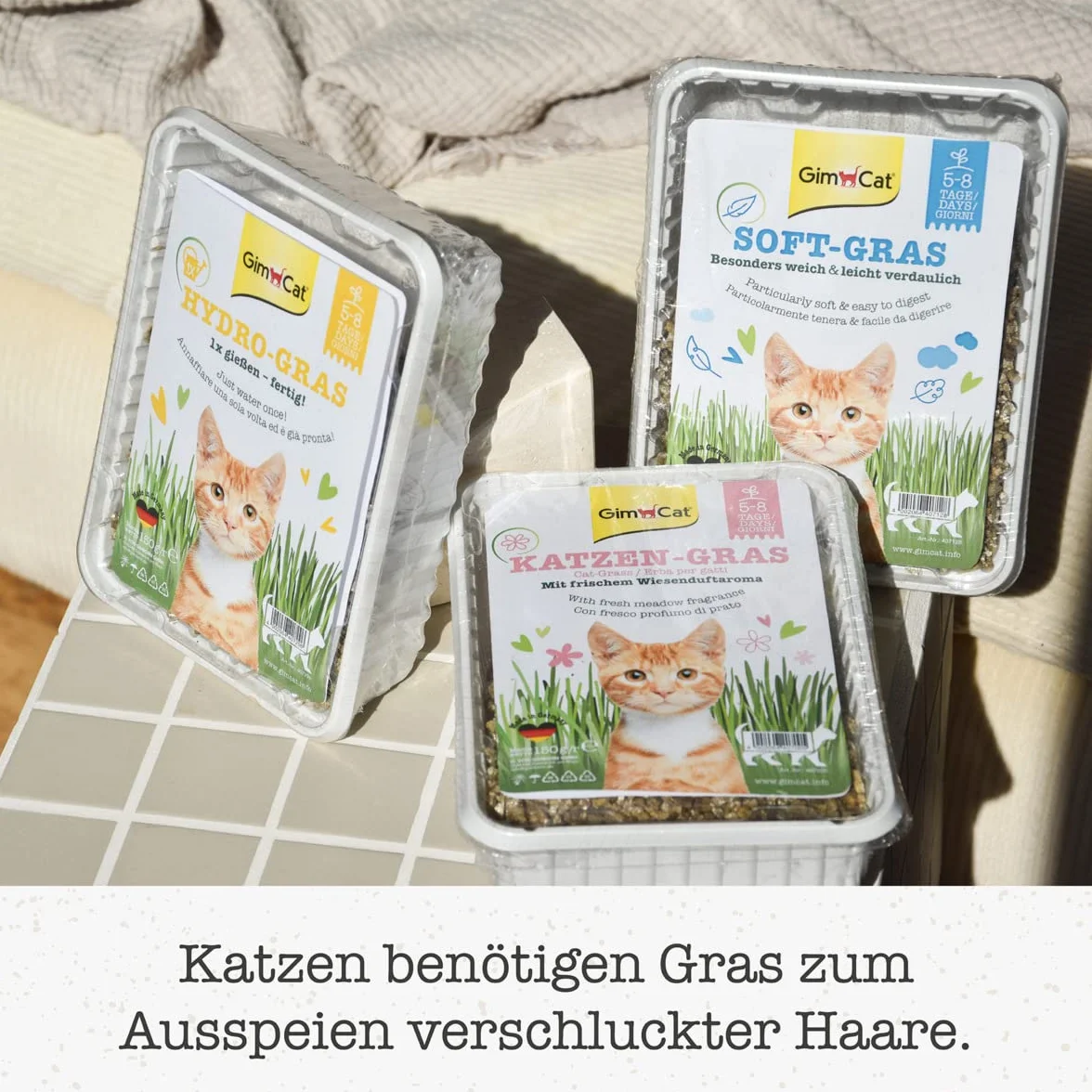 GimCat Hydro-Gras - Hierba fresca para gatos, de plantación controlada, en tan solo de 5 a 8 días - 1 bandeja (1 x 150 g)