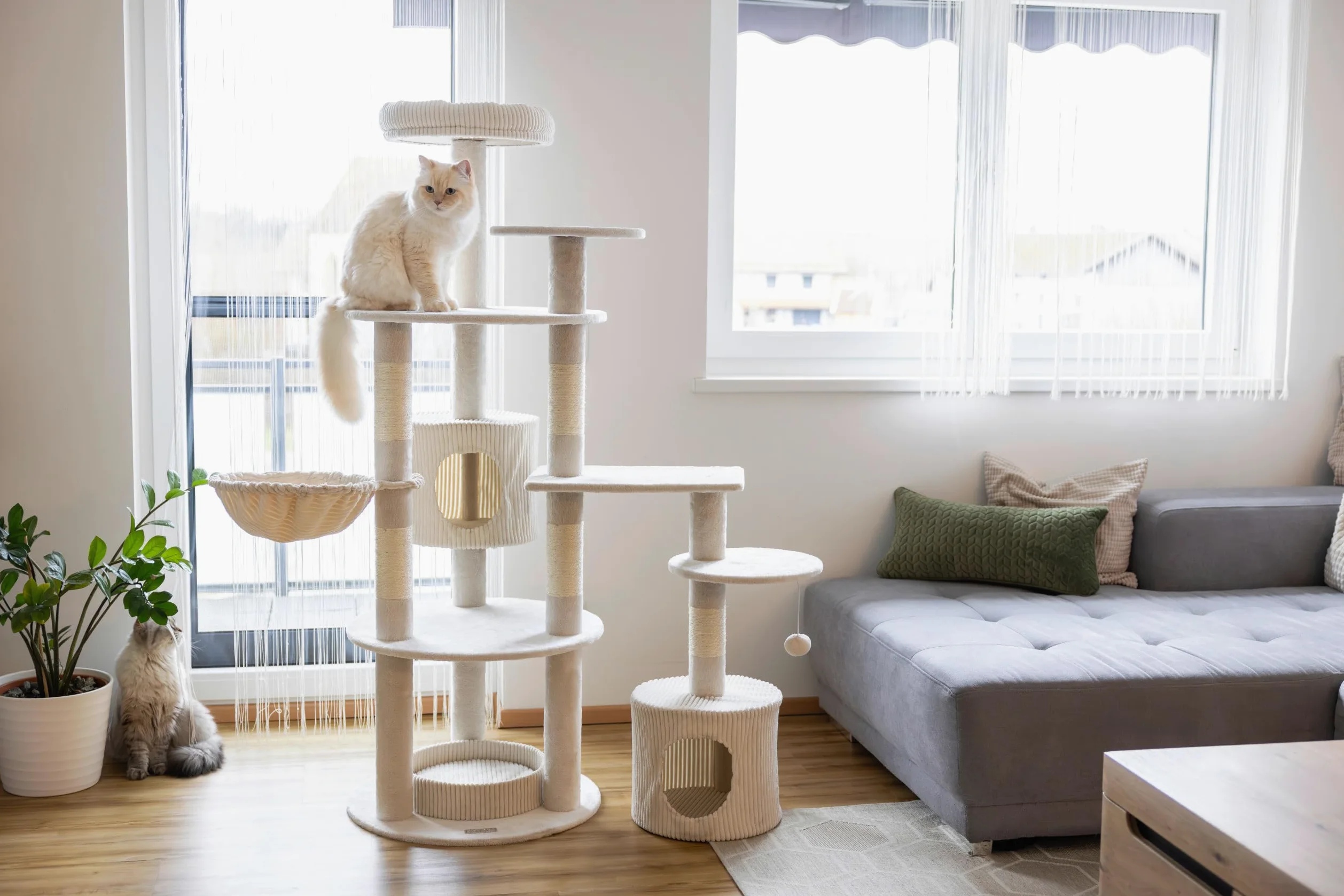Kebl Pet Annika Poste rascador para Gatos, Moderno Poste rascador, Poste de sisal para el Cuidado de Las Garras, para hogares con Varios Gatos, Tumbonas y Pelota de Juego, Beige, 164 cm