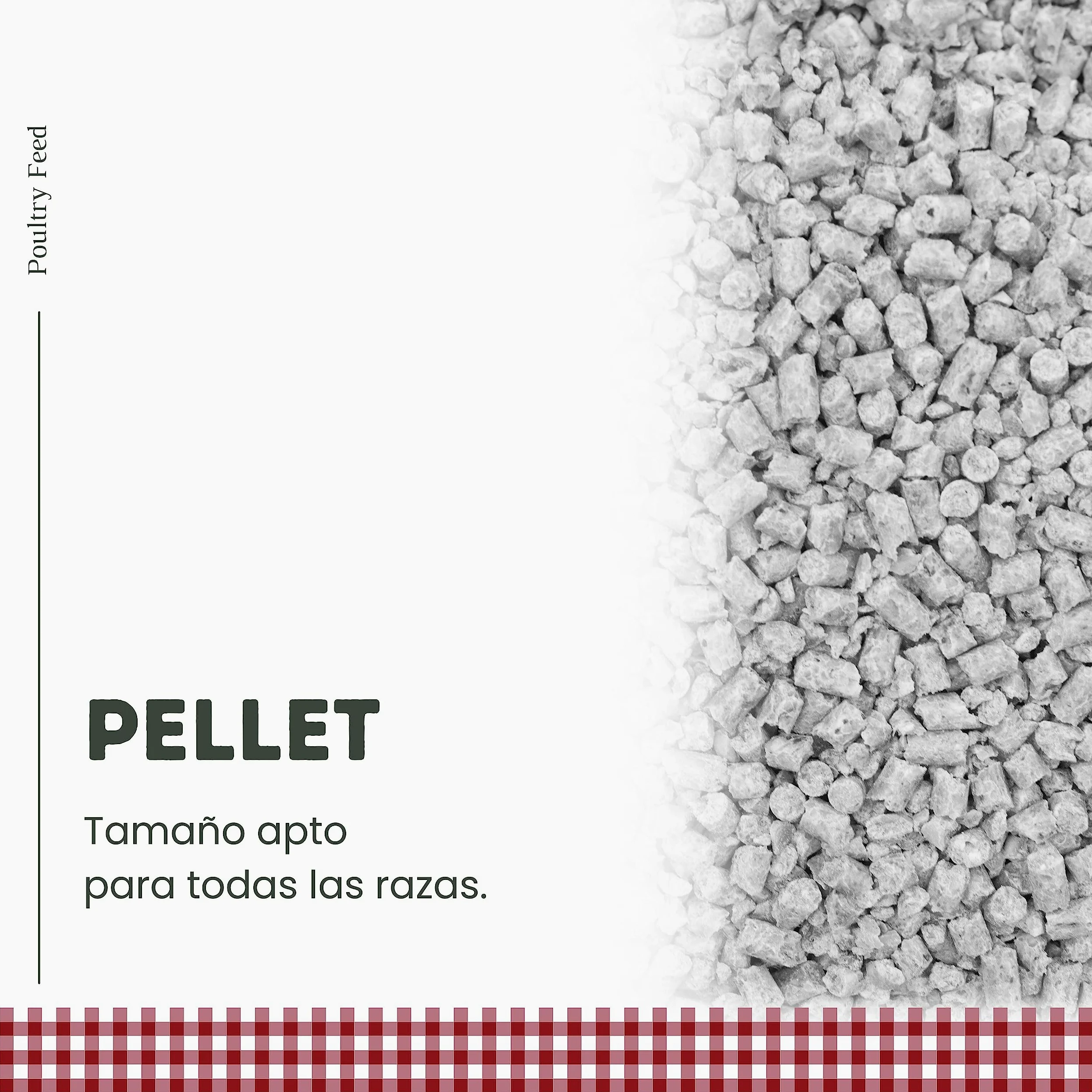 Pienso para Gallinas Ponedoras y Ornamentales | Alimento con Fórmula Exclusiva | Poultry Feed Saco 25 kg | Rico en Proteínas y Grasas Saludables para un Plumaje Vistoso (Pack 6)