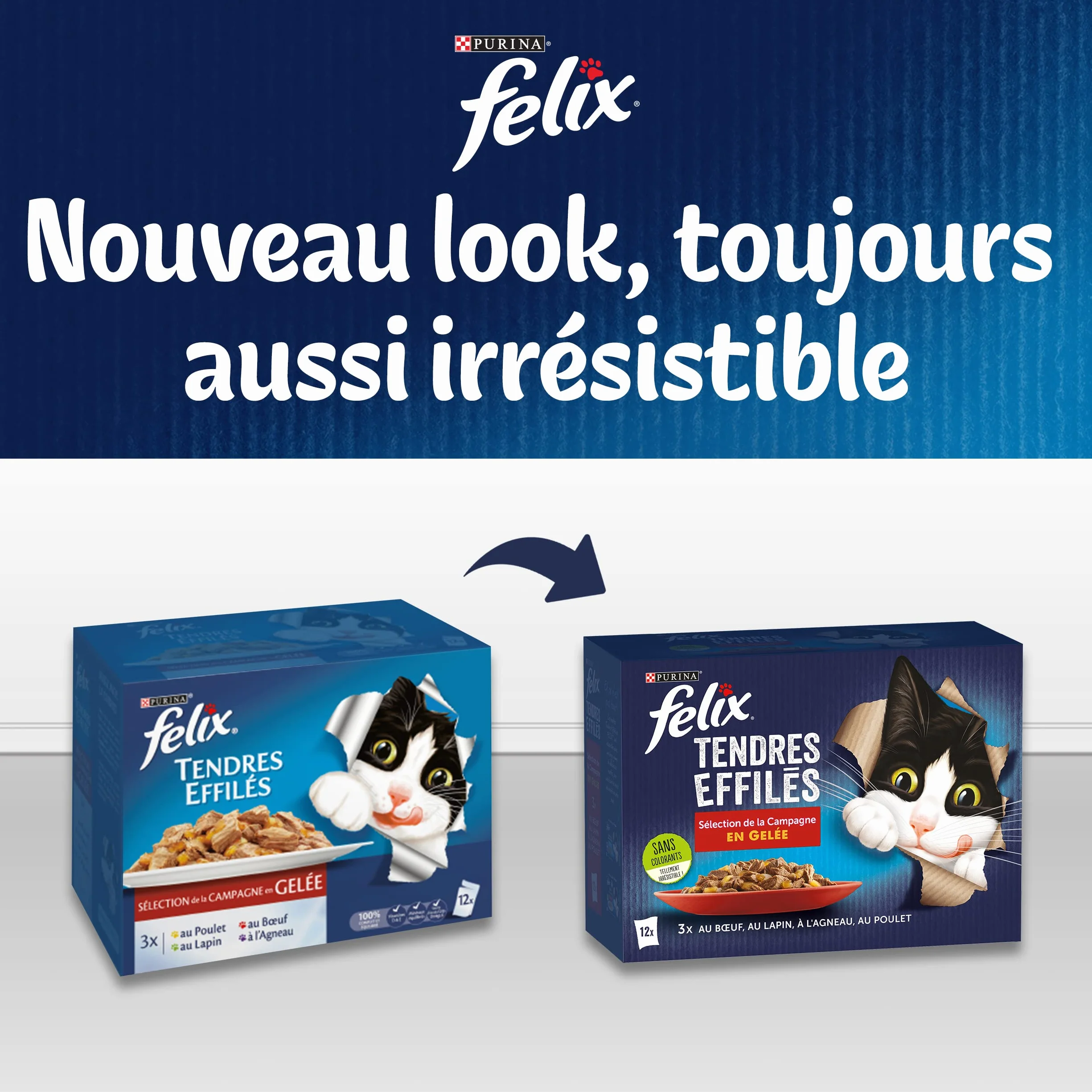 FELIX Tiernas Afiladas en Jalea | Gato Adulto | Selección de Pollo, Ternera, Atún, Salmón | Juego de 4 x 85 g | Bolsa Fresca
