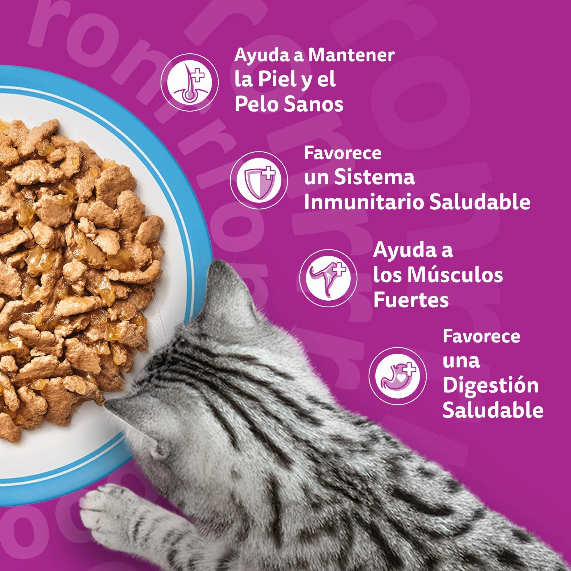 Whiskas Comida Húmeda para Gatos Adultos Selección Pescados en Gelatina (Multipack 4x12x85g)
