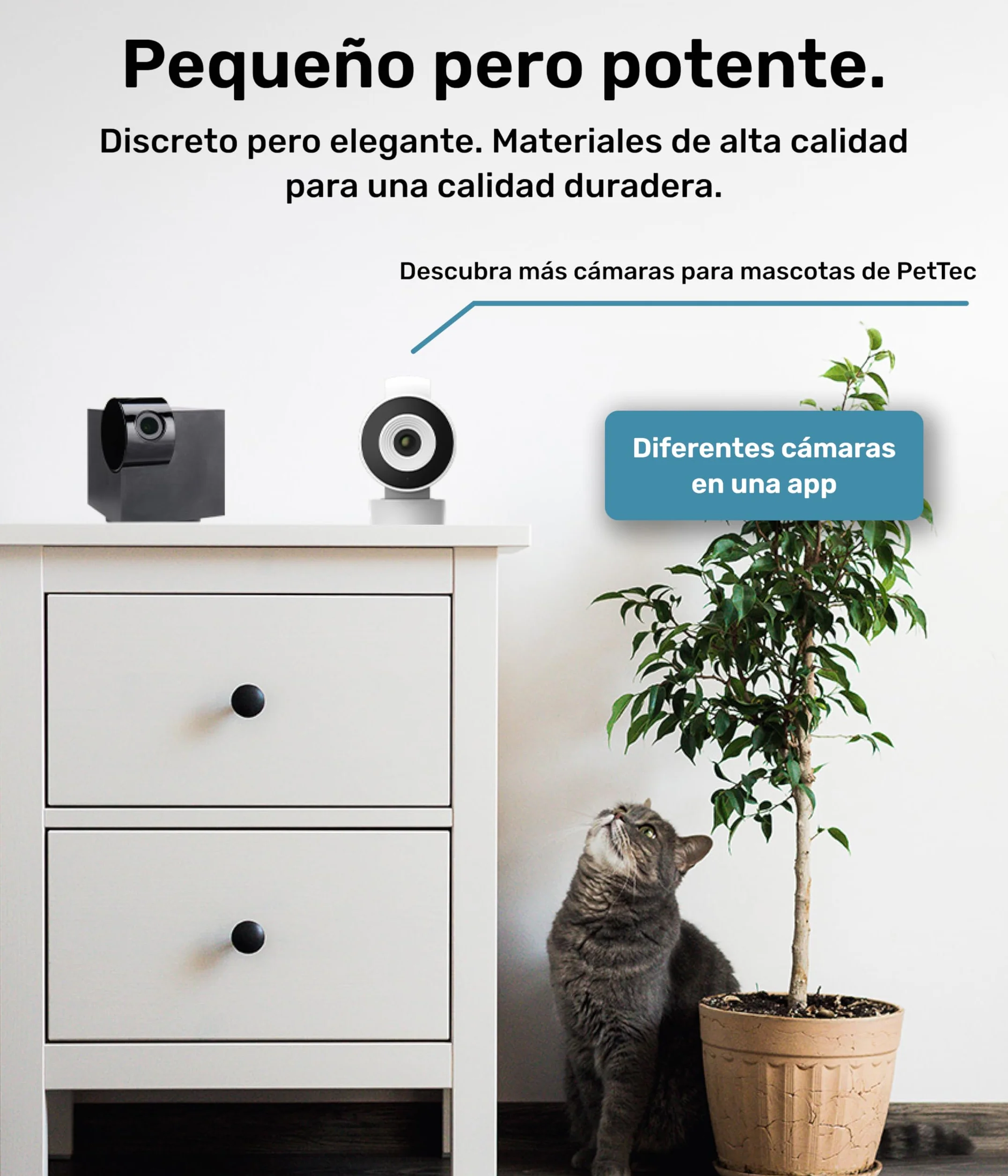 PetTec® CAM 360° Cámara para Mascotas con App [SIN SUSCRIPCIÓN] - Cámara para Perros y Gatos en Casa con Detección de Movimiento y Visión Nocturna - Vista Completa HD 360° Panorámica e Inclinable