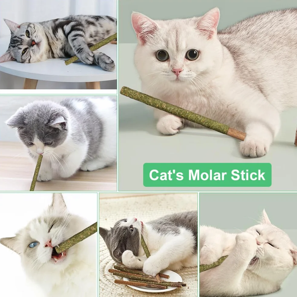 OSDUE Palitos De Hierba Gatera, 12 Masticar Palos para Gatos, 100% Orgánico Natural, para Aliviar el Aburrimiento y Limpiar los Dientes