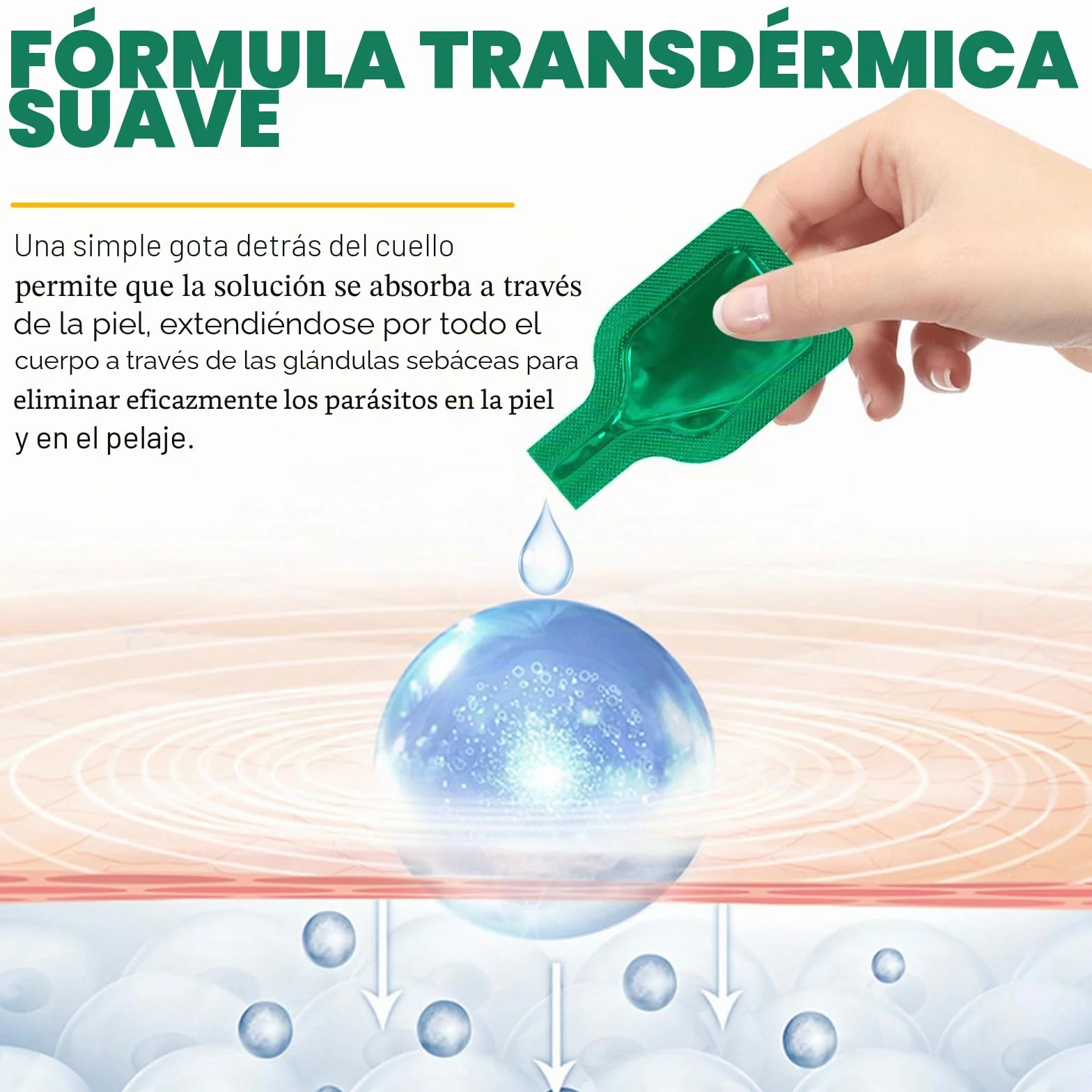 Fllea Y Garrapatas Protección para Gatos Y Gatos, Gotas Naturales para Desparasitar Gatos,2 x 6 Pipetas Fllea- Y Protección contra garrapatas, Fórmula de Extracto de Garras Segura Fórmula Fórmula de