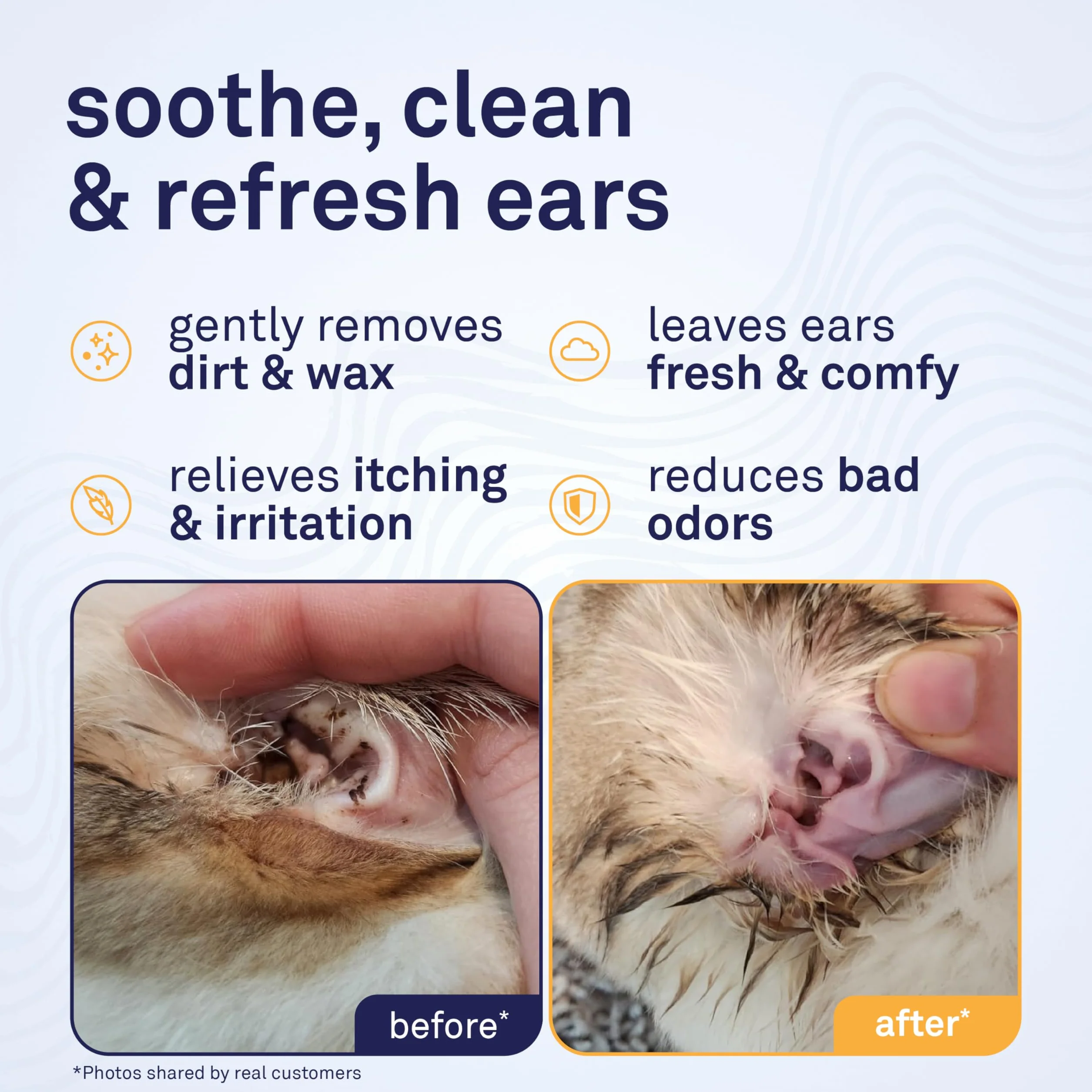 Petpost | Toallitas Limpiadoras de Oído para Gatos – 100 Almohadillas de Algodón Ultra Suave en Solución de Aceite de Coco – Tratamiento para Garrapatas de Oído de Gatos e Infecciones Auditivas