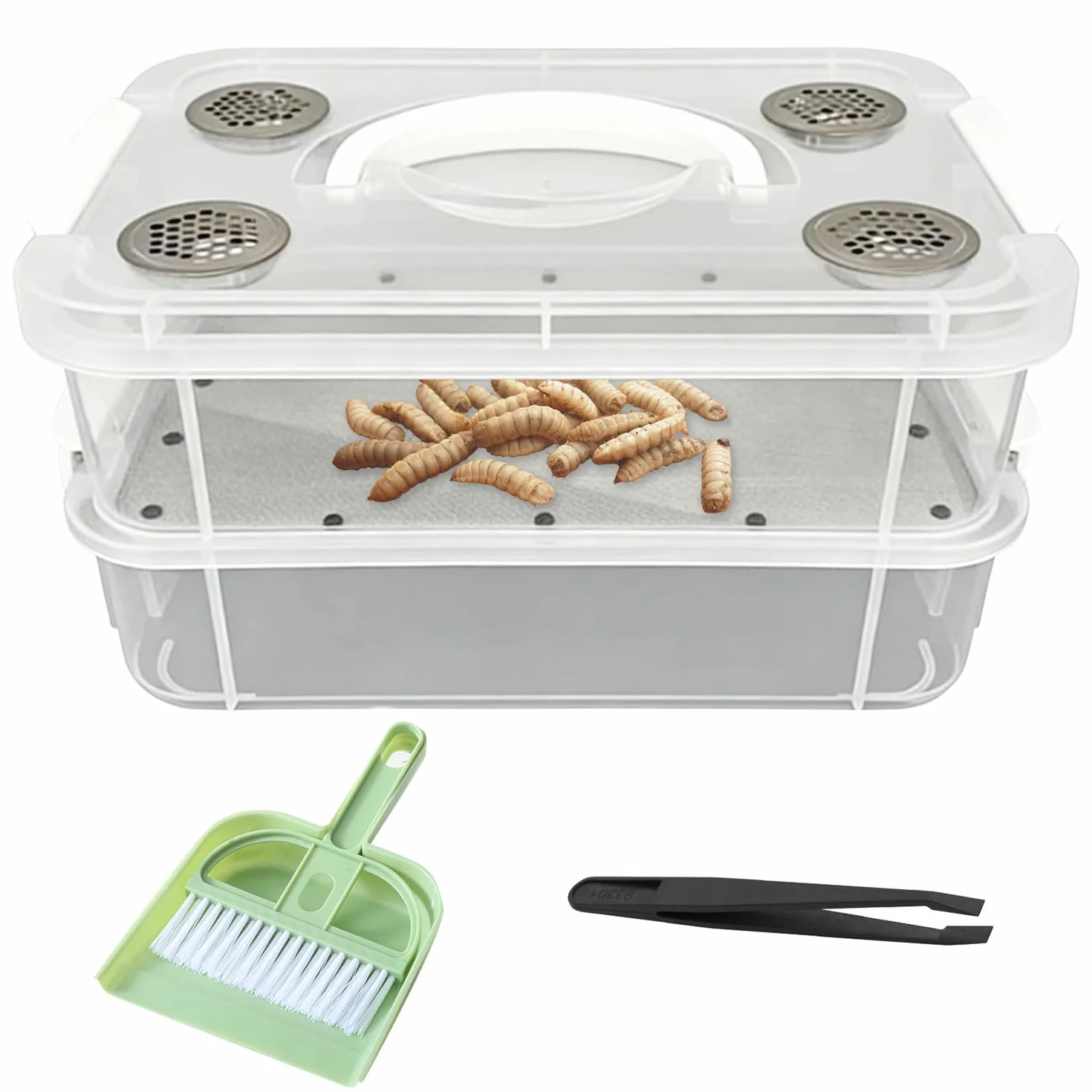 Kit de Cría de la Harina, Contenedor para Cría de Tenebrios, Contenedor Transparente de Doble Capa de Tenebrios, Caja de Cultivo y Cría de Gusanos de la Harina, para Petauros del Azúcar, Aves, Pollos