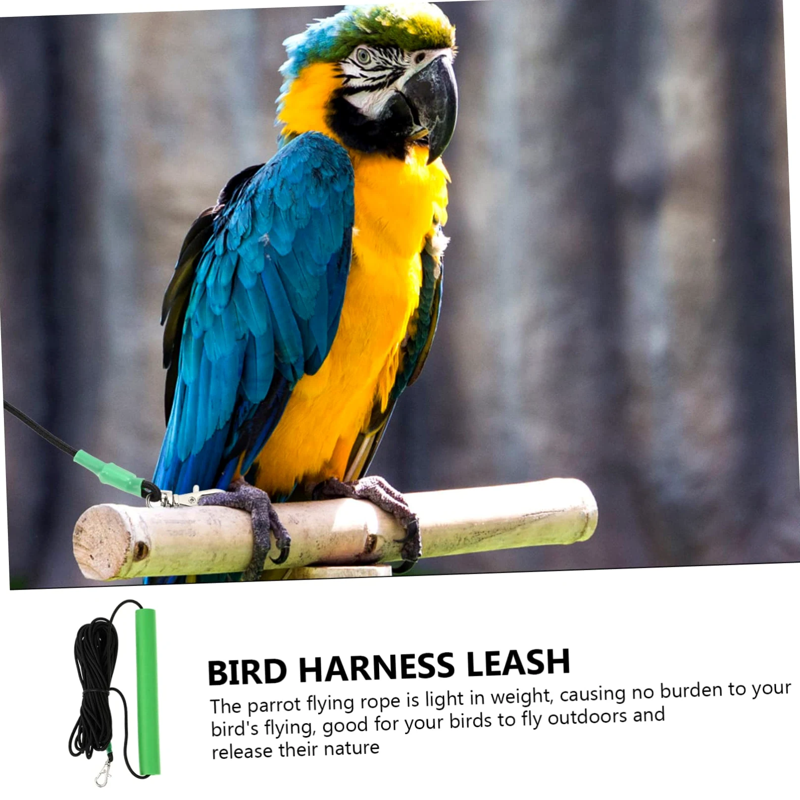 COLLBATH 2 Piezas De Loro Y Correa Juguete De Cuerda Voladora para Pájaros Cuerda De Transporte Segura para Exteriores