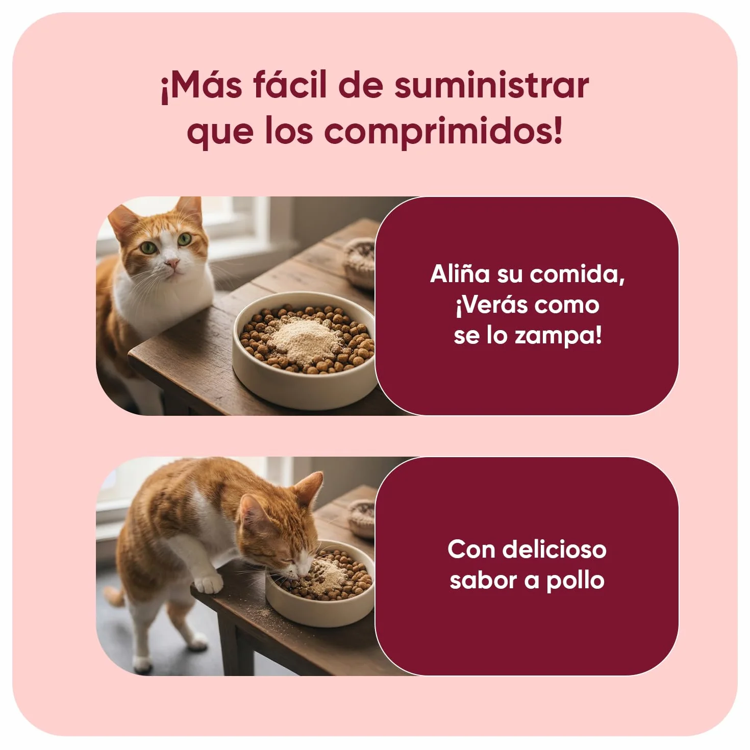 animigo Antiparasitario en Polvo para Gatos 100g Sabor Pollo - Protección Natural Antipulgas y Antigarrapatas Muy Fácil de Suministrar Formulado con Ingredientes Naturales, Vitaminas Grupo B y Zinc