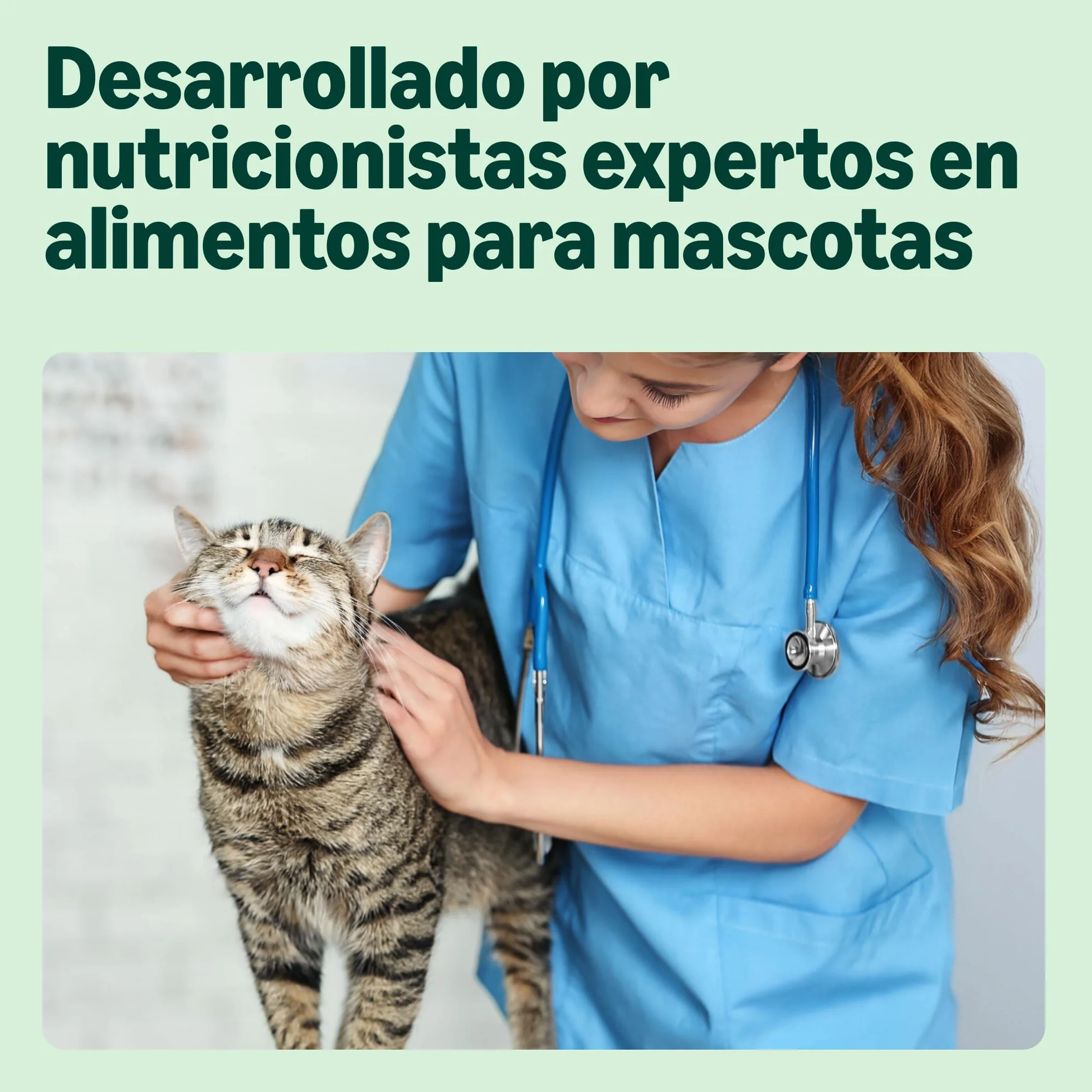 by Amazon - Alimento Completo sin Cereales para Gatos Adultos, selección mezclada en gelatina, 4,8 kg (48 Paquetes de 100 g)