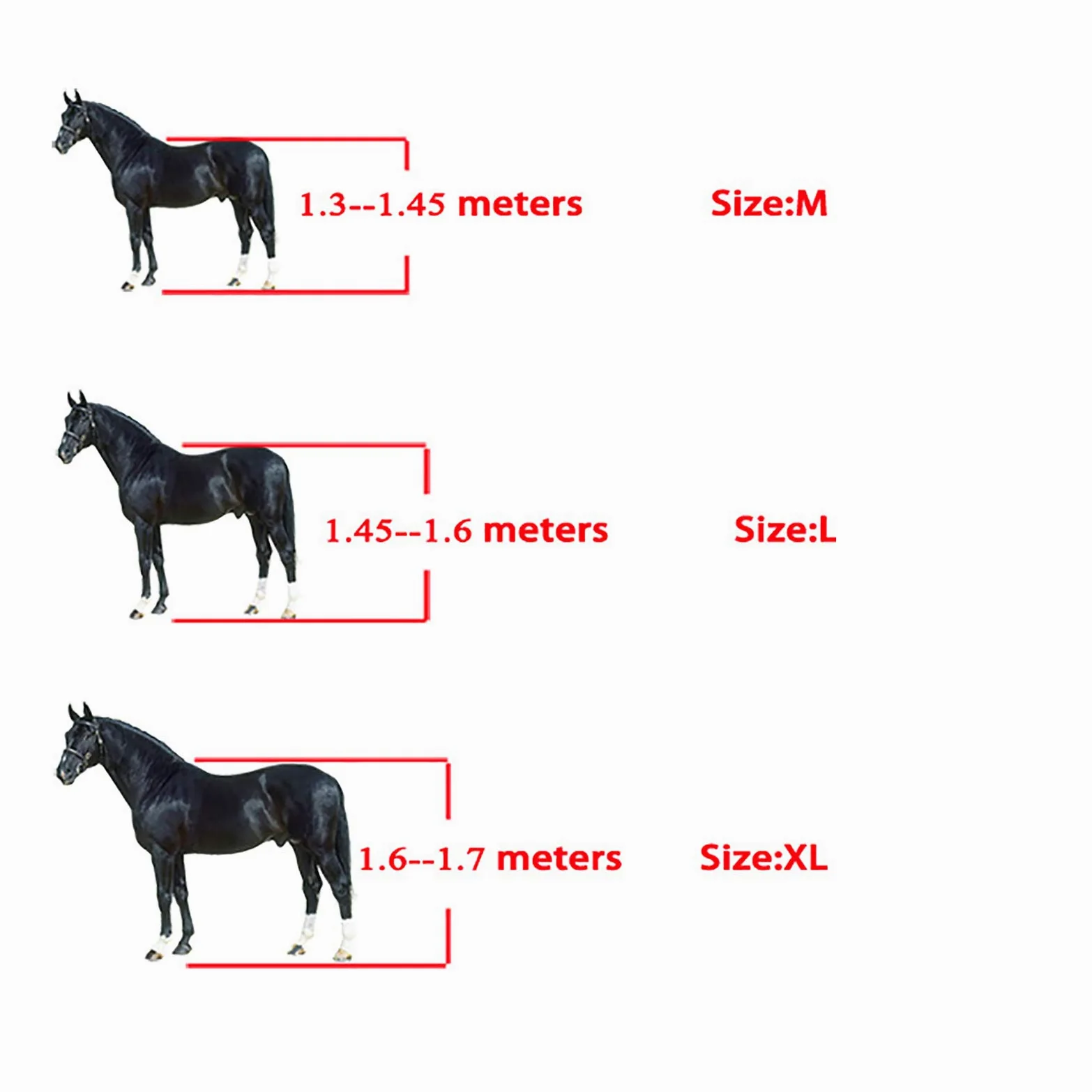 Protectores de tendones Botas de Caballo Juego de 4,Botas de protección para Saltos de Caballos Profesionales Abrigo de Apoyo para Caballos Botas Ajustables,Azul,L