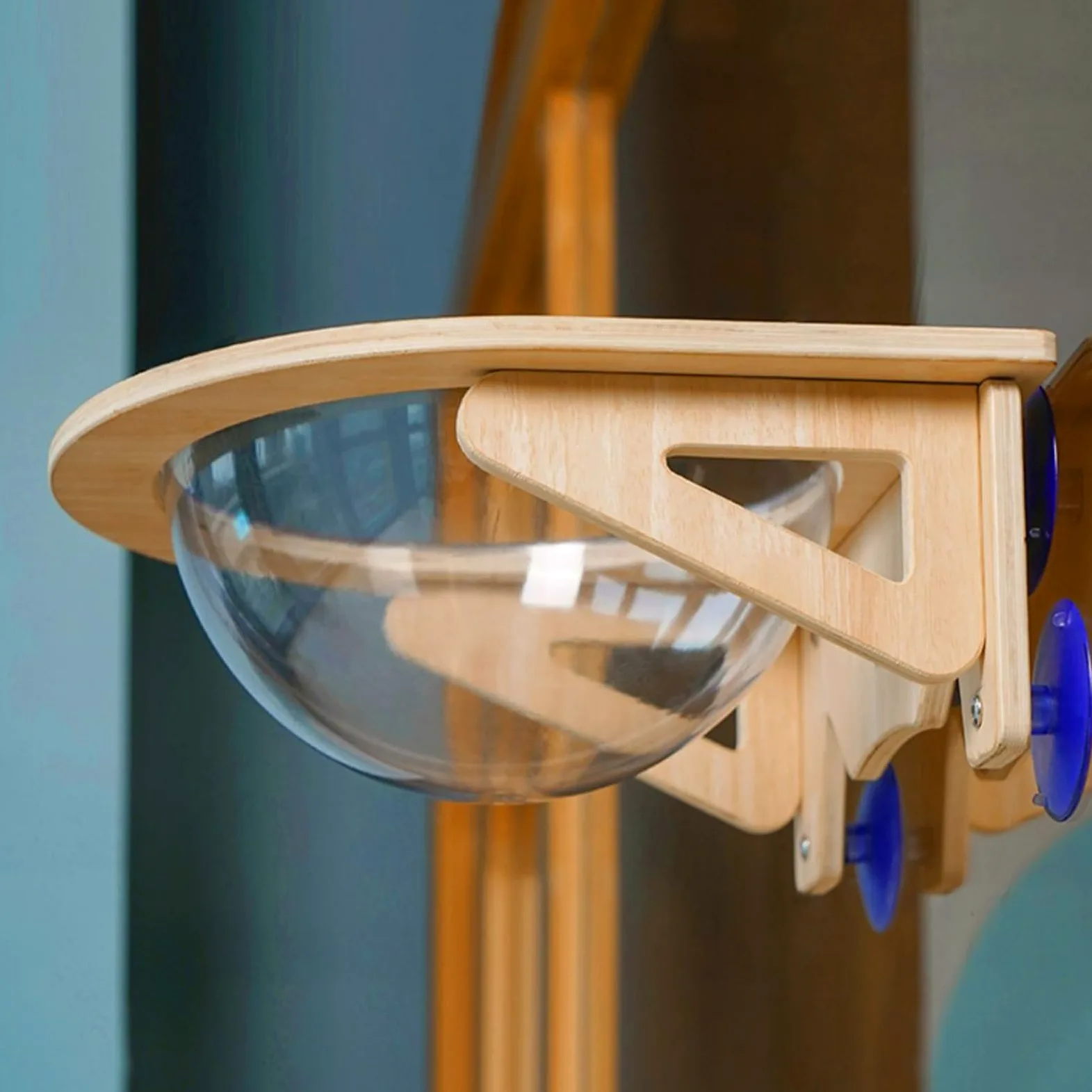 Repisas Para Gatos Para Pared Cueva de Mascotas con Ventosas de | Hamaca Ventana Para Gato Para Hogar Interior Apartamento Esquina Oficina Cocina Sala De Estar