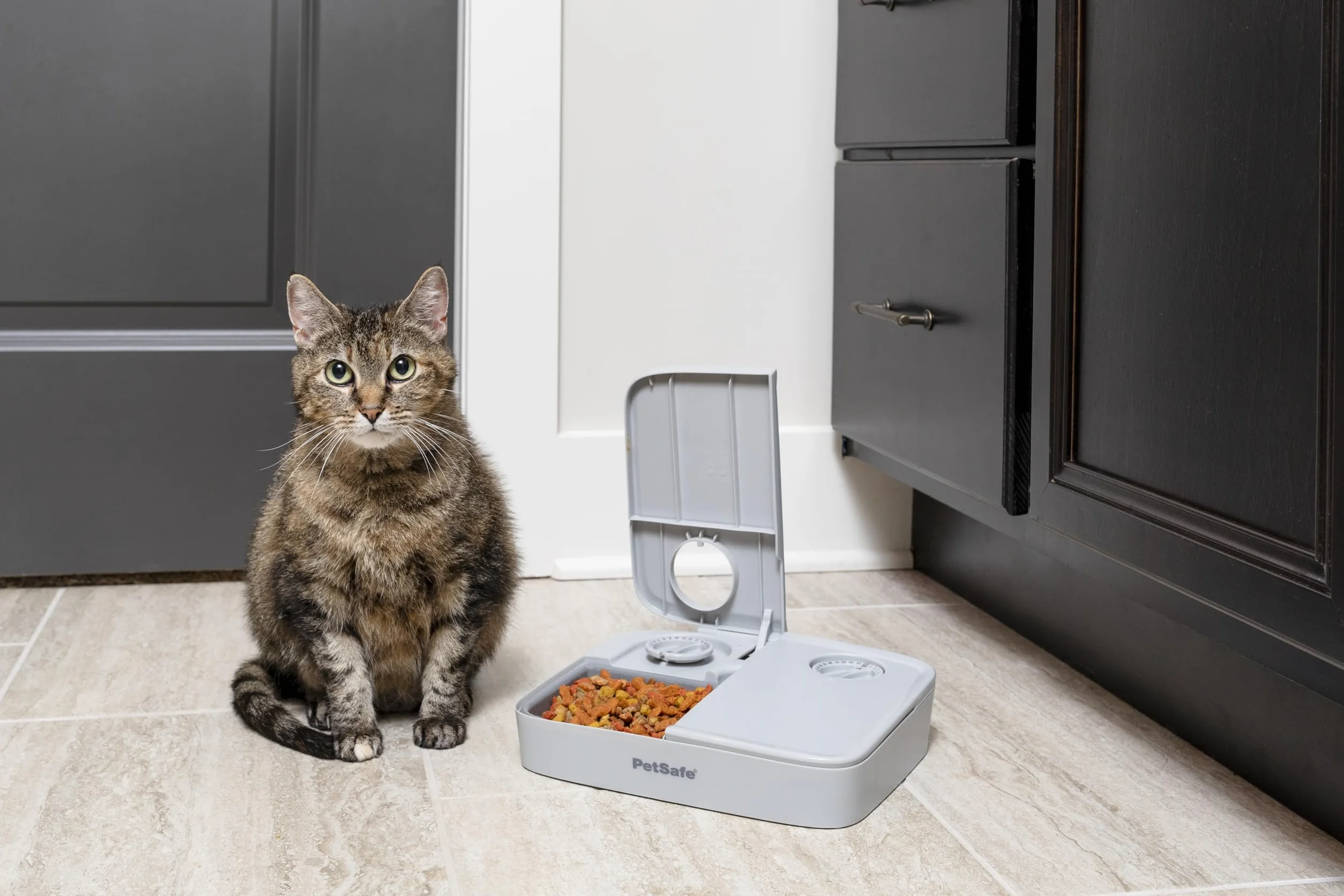 PetSafe Automat do karmy na 2 posiłki, wbudowane zegary sterujące, Misa bez BPA, nadaje się do suchej karmy, szary, 1 sztuka (1 opakowanie)