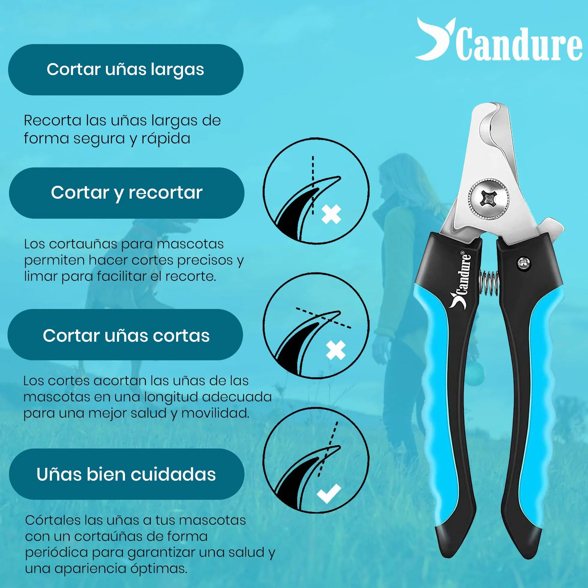 Candure Cortauñas para Perro y Gato con Mascota Protector de Seguridad - Acero Inoxidable Alicates Uñas Profesionales para Mascotas Perros, Gatos, Conejas y Veterinaria Utilizar 6" Pulgadas