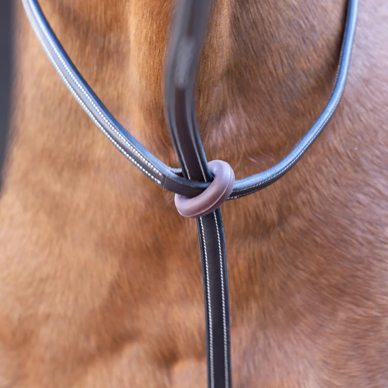 Equinavia Saga Martingala de pie ajustable de cuero con herrajes de acero inoxidable, marrón chocolate, mazorca