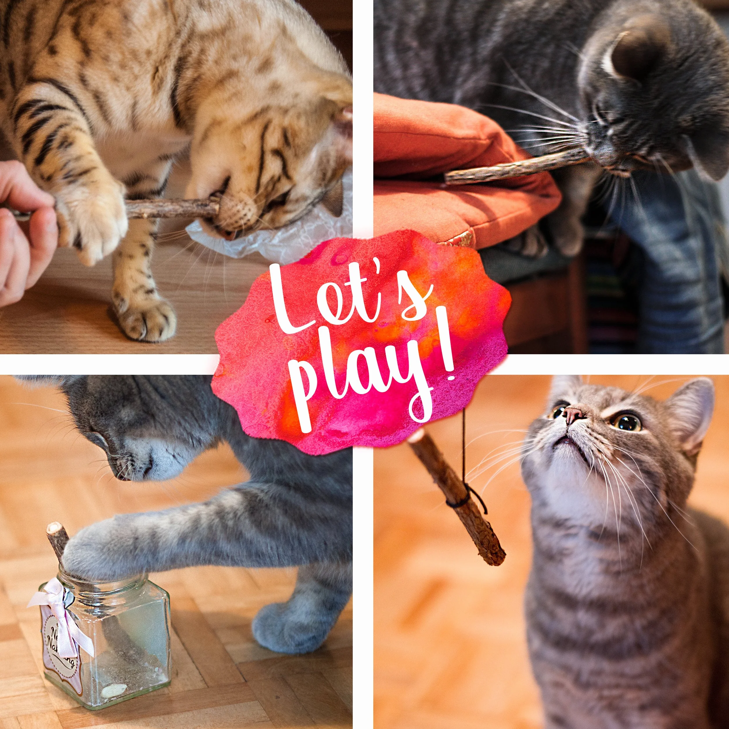 PRETTY KITTY Palitos Gato Cuidado Dental: 5X palitos Matatabi de Madera como Juguete Natural para Gatos contra el Mal Aliento – Palitos dentales Gato – Mordedores para Cuidado Dental de Gato