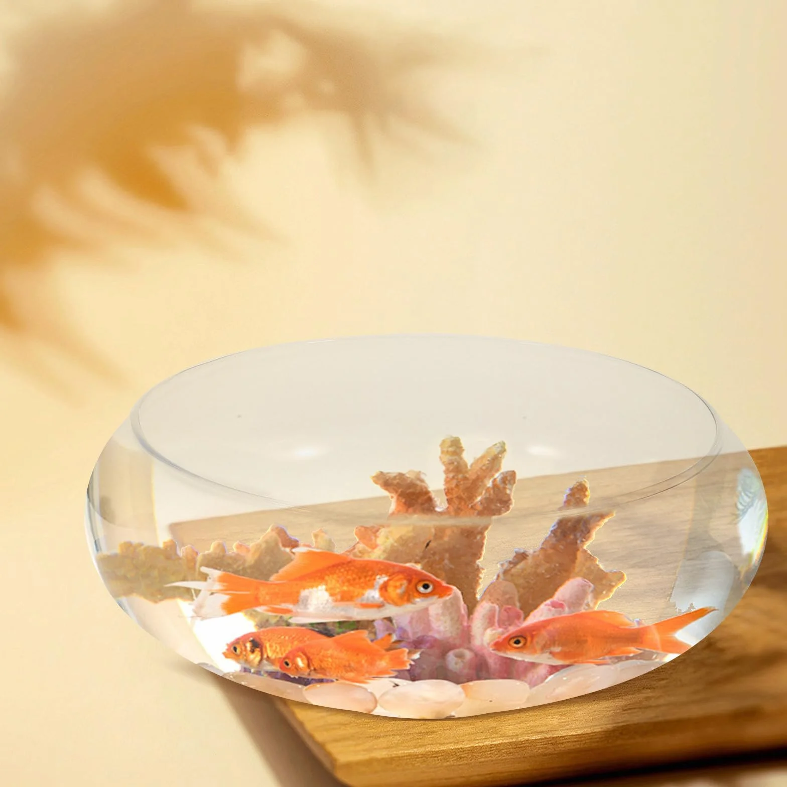 Acuario de Cristal Transparente Redondo para Peces y Plantas, Macetero Hidropónico de Vidrio, Adecuado para Oficina y Decoración de Aniversario