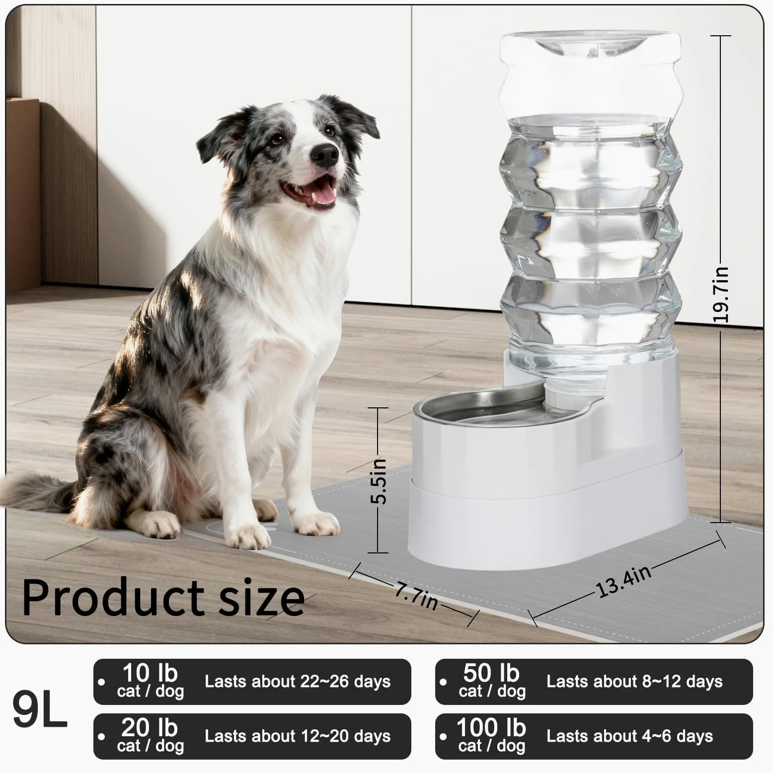 RIZZARI Dispensador elevado de agua para perros de acero inoxidable de 9 litros, bebedero automático por gravedad con diseño de hidratación filtrada, altura cómoda para beber para perros grandes y