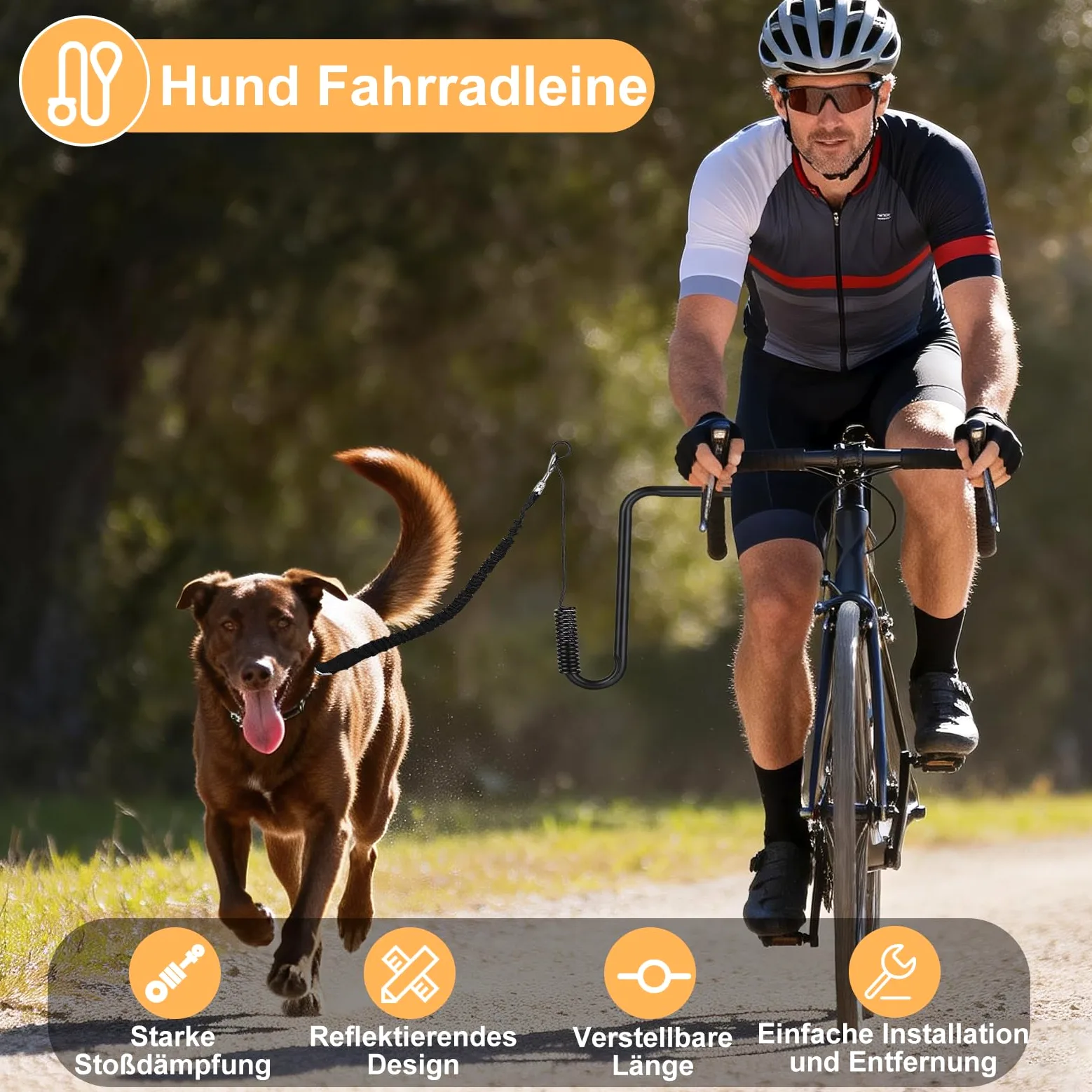 Correa para perro para ciclismo con diseño reflectante y cuerda elástica que absorbe los golpes