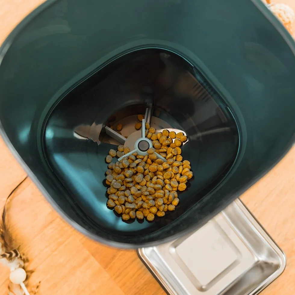 Cecotec Comedero Dispensador Automático para Mascotas con Control WiFi Pumba 6000 Purrfect Meal Smart. 6 litros de Capacidad, Control de Porciones, Comida de hasta 10mm, Cuenco de Acero INOX