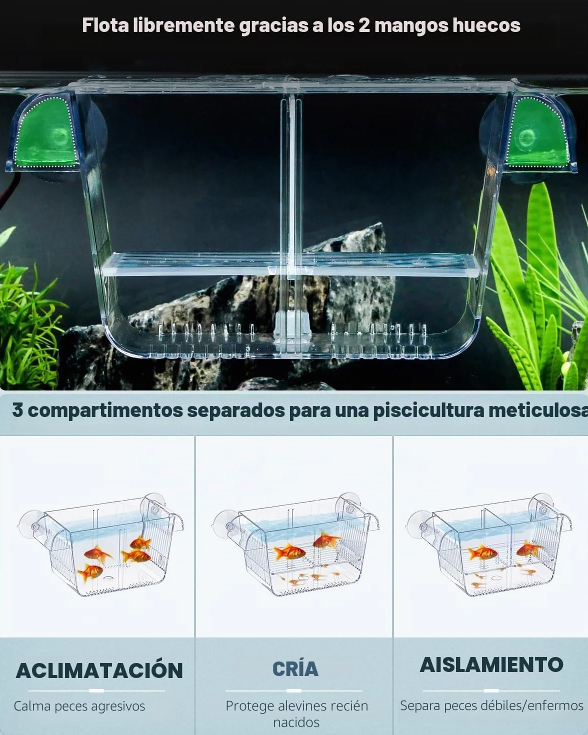 Pawfly Caja de cría de peces de acuario con 6 ventosas de acrílico para peces bebés, camarones, betta, guuppy, platy