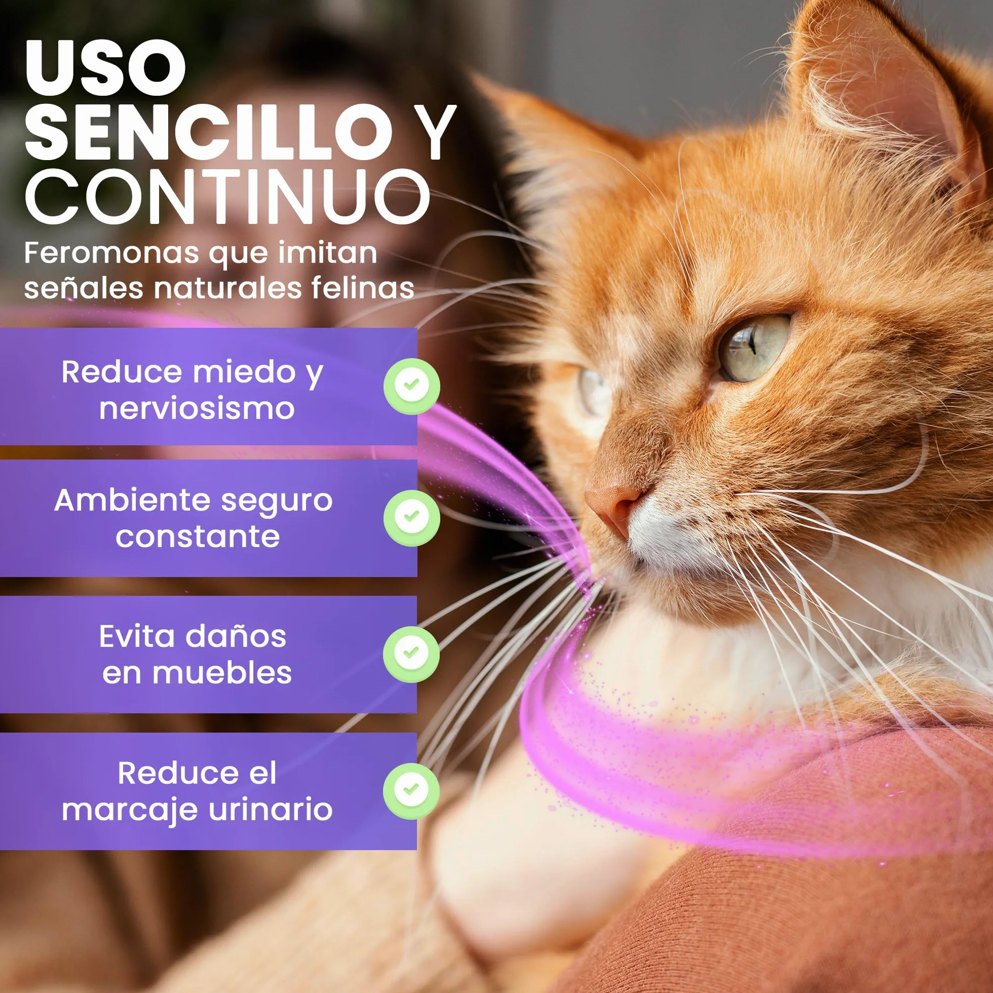Feromonas para Gatos - Difusor + 2 Recambios (60 días, 48 ​​ml) - Ayuda a Crear Armonía y Reducir Conflictos Entre Gatos como el Estrés, Arañazos, Miedos, Cambios, Marcaje con Orina.