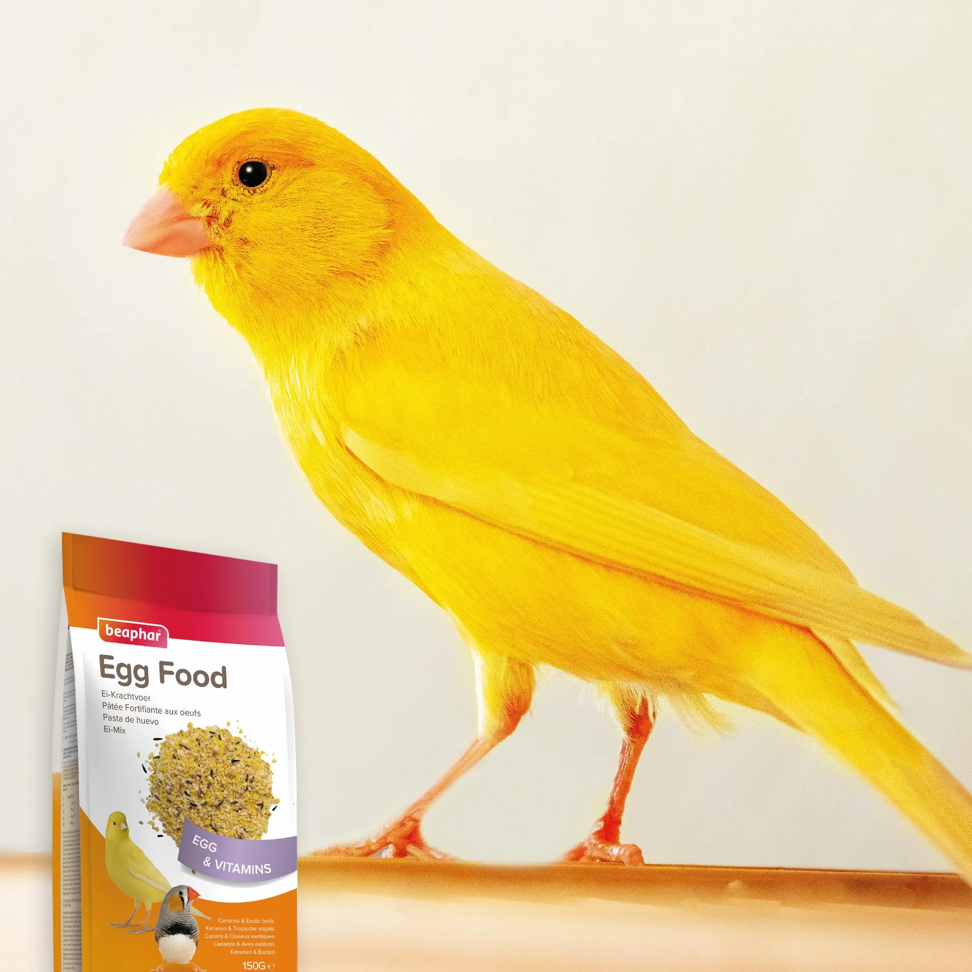 Beaphar Pasta de Huevo para Canarios y Aves Exóticas - 150g