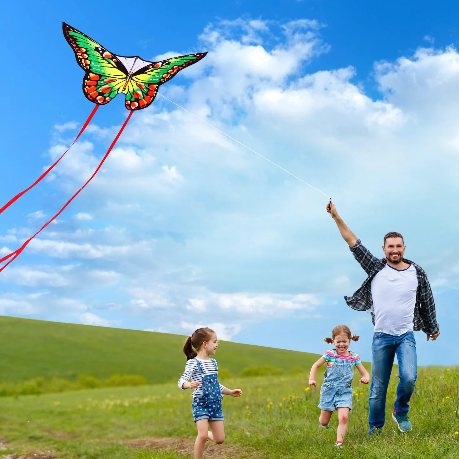 HONBO Butterfly Kite 55 x 28 inch Large Beginner Kite for Kids Adults Easy to Fly Outdoor Beach