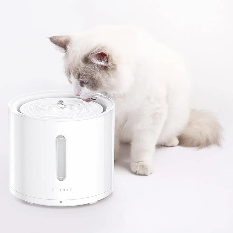 PETKIT Elemento de Filtro 3.0, 5 Piezas para Bebederos 2.0 & 3.0 & CYBERTAIL Fuente,Filtración Más Fuerte