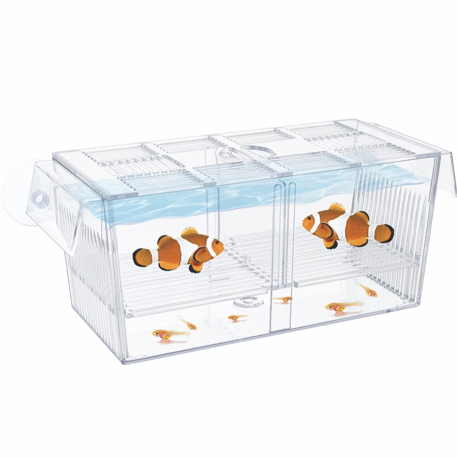 Pawfly Caja de Cría para Peces de Acuario Acrílico Incubadora Tanque con Ventosas Caja de Aislamiento Grande para Peces Bebé Camarón Betta Guppy y Platy