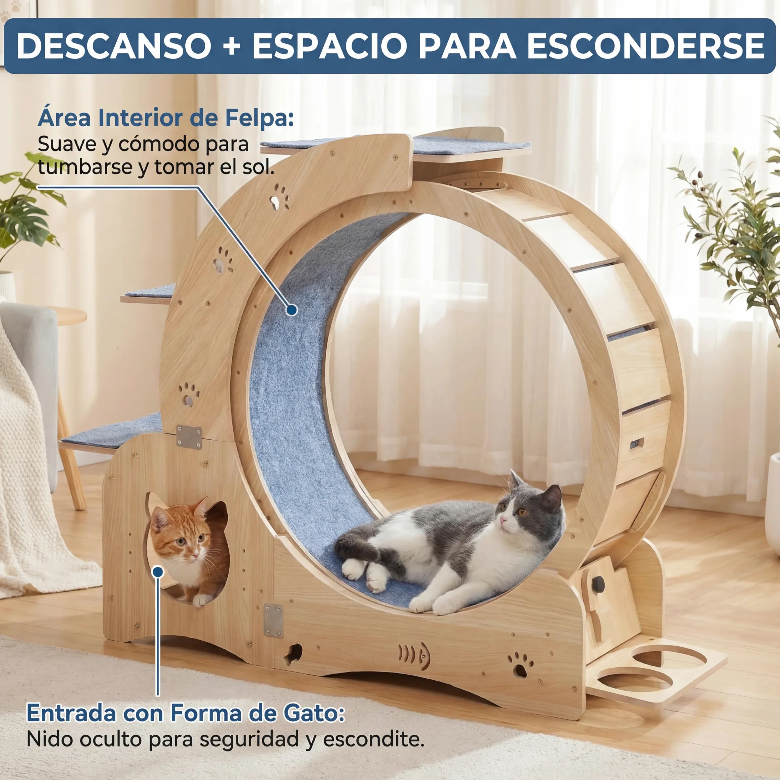 Rueda de Ejercicio para Gatos de Madera Maciza 5 en 1 (100cm) con Casita Integrada, Rascador, Plataformas y Cuencos – Cinta de Correr Silenciosa y Estable para Gatos Grandes y Perros Pequeños