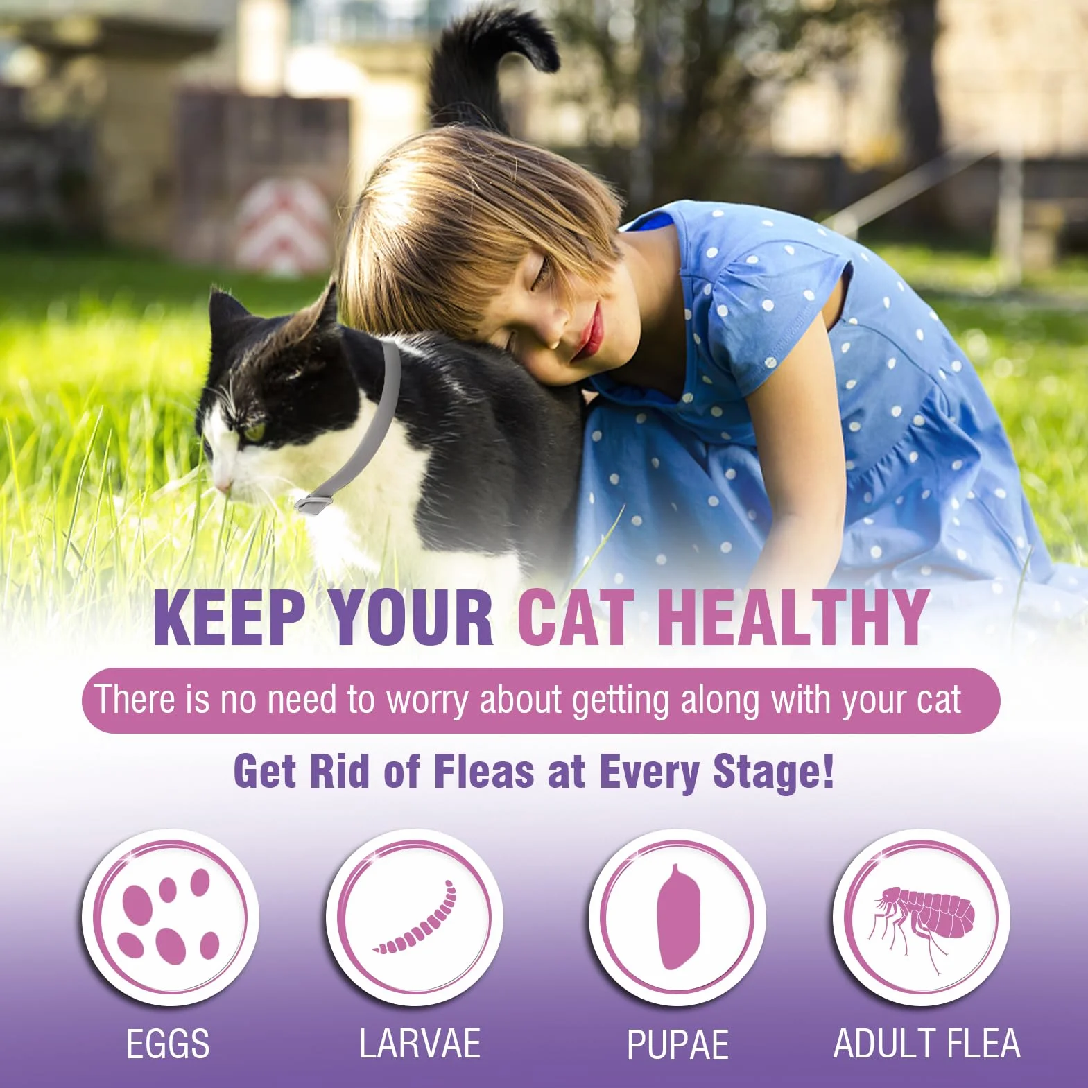 Collar Antiparasitario Gatos Collar Antipulgas Gatos 4piezas Collar Antipulgas y Garrapatas para Gatos Collar Antiparasitario 8meses de ProteccióN Duradera Impermeable TamañO Ajustable Collares Pulgas